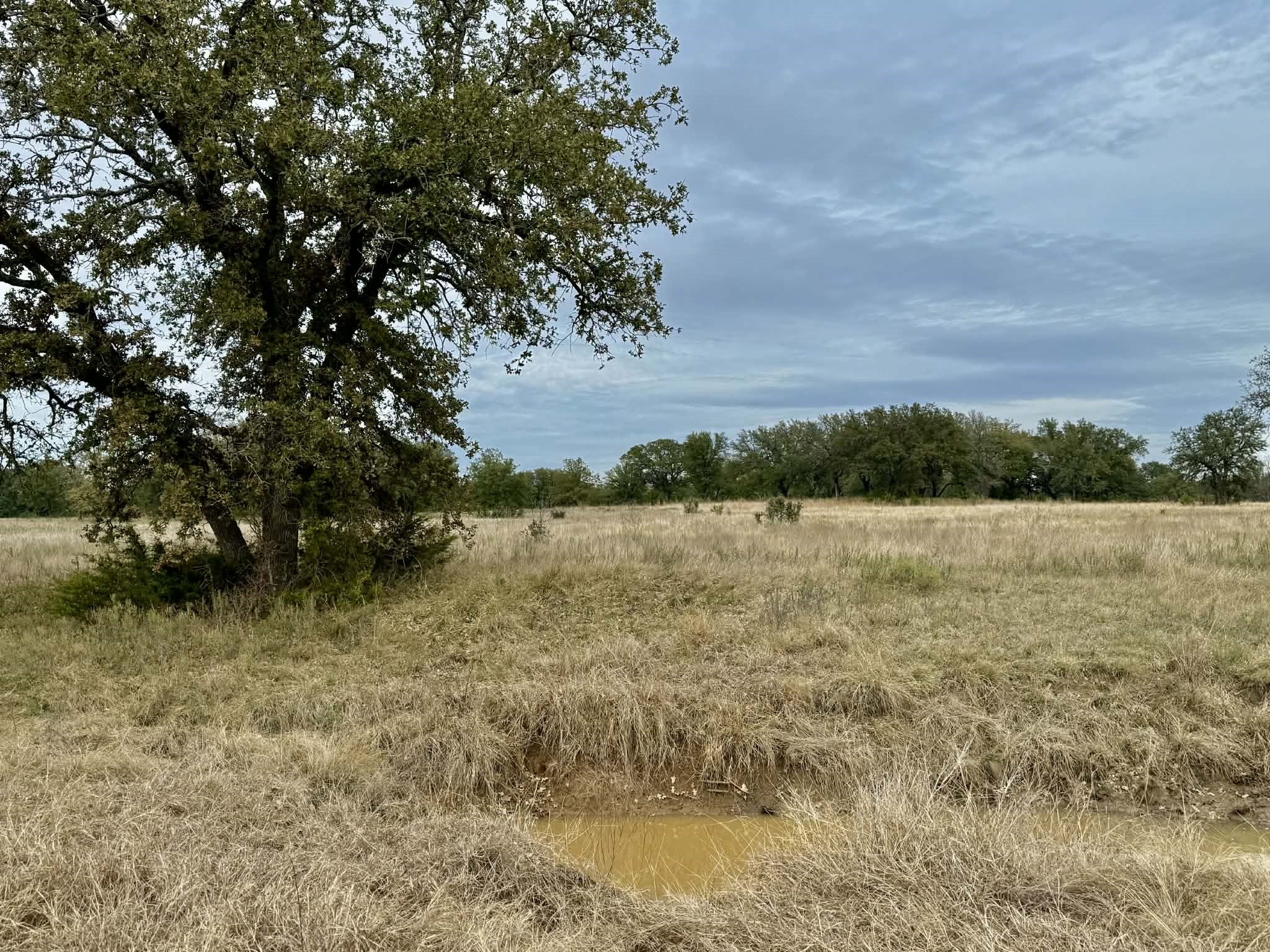 Tbd Cr 2200 Hico TX 76457
