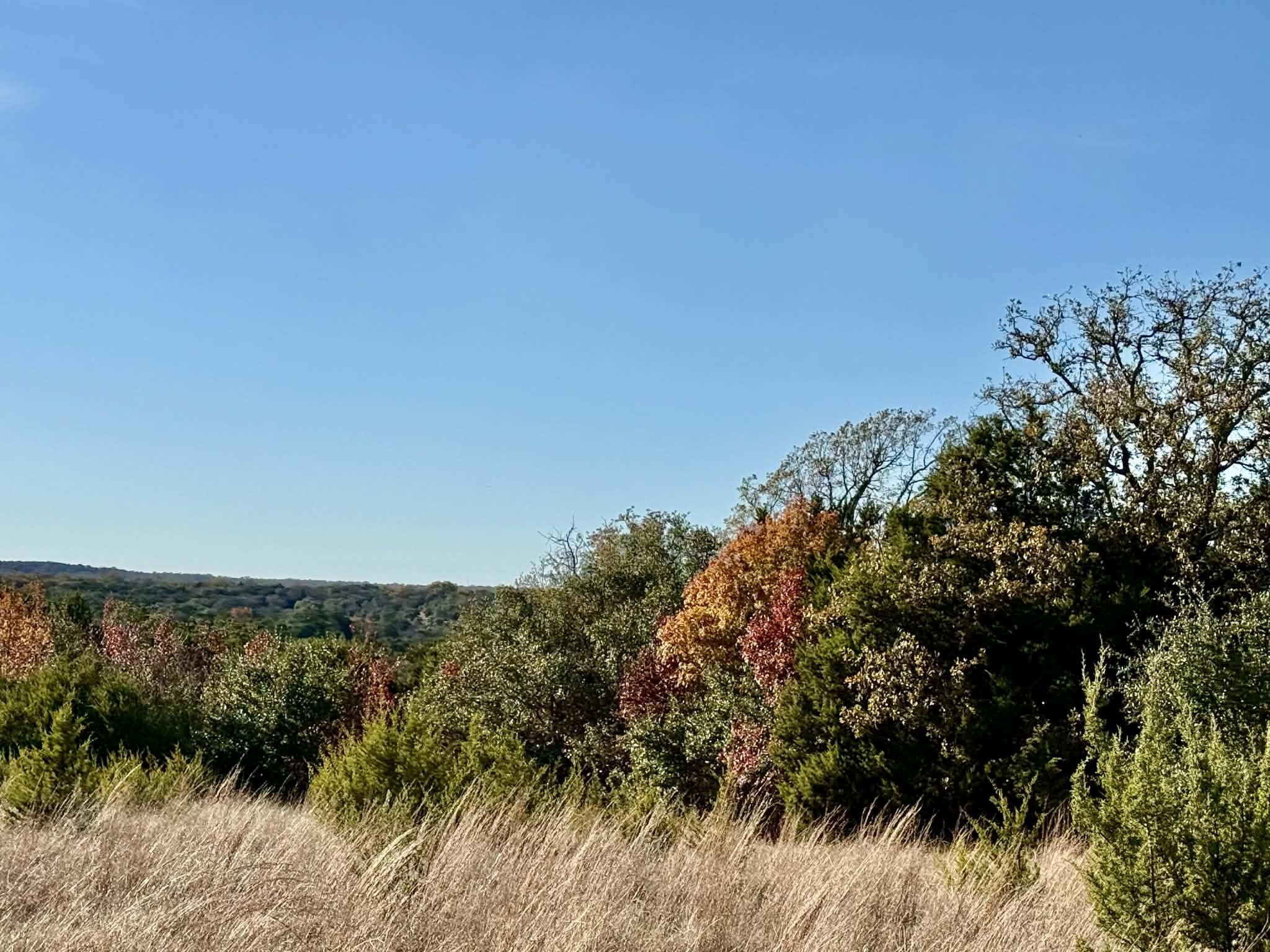 Tbd Cr 2200 Hico TX 76457
