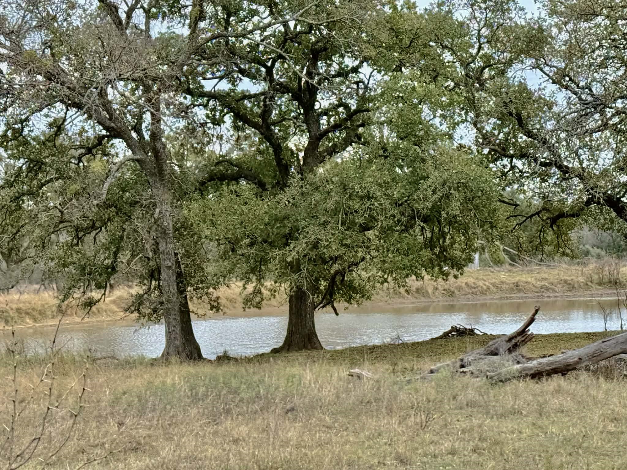 Tbd Cr 2200 Hico TX 76457