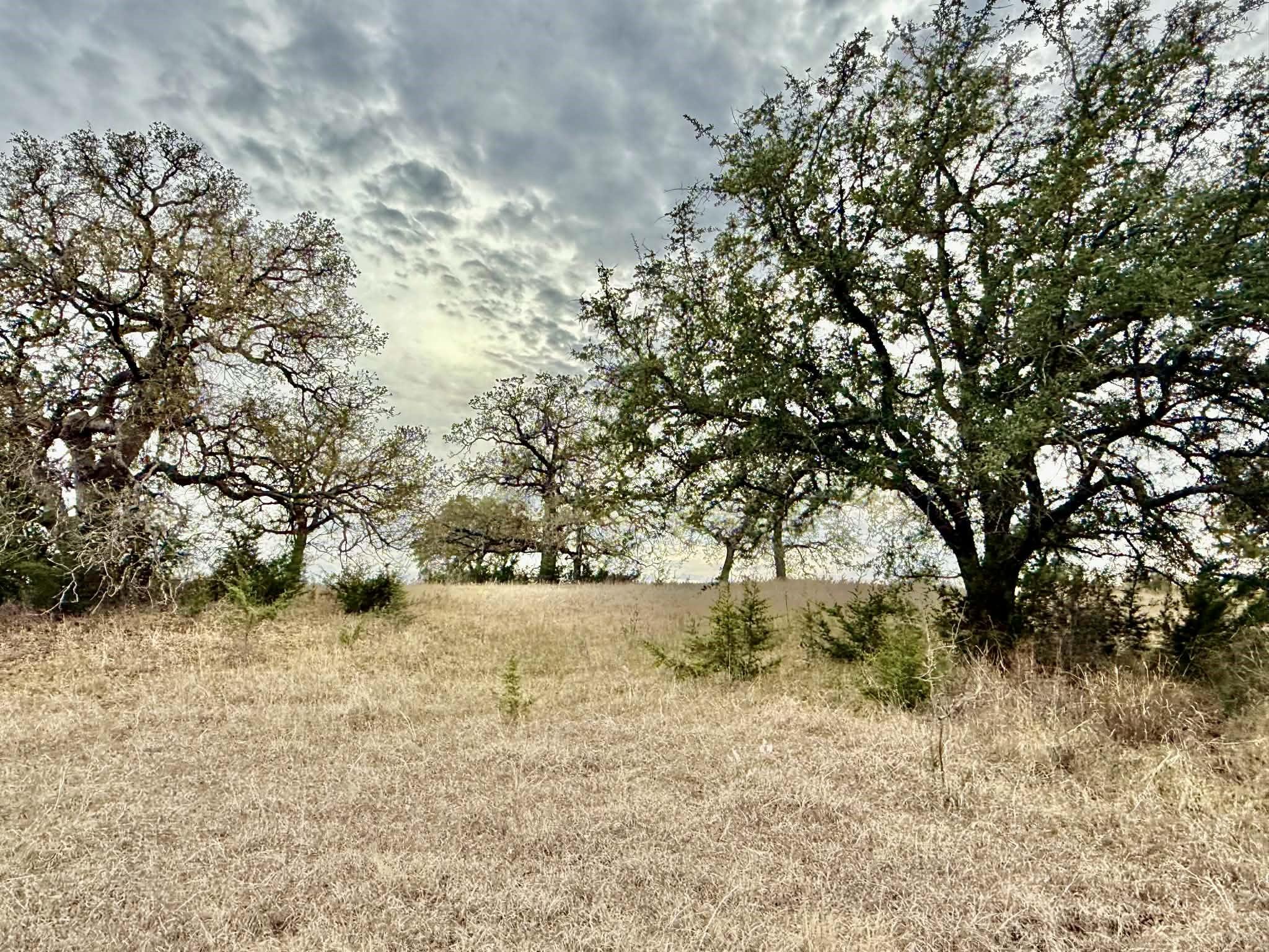 Tbd Cr 2200 Hico TX 76457