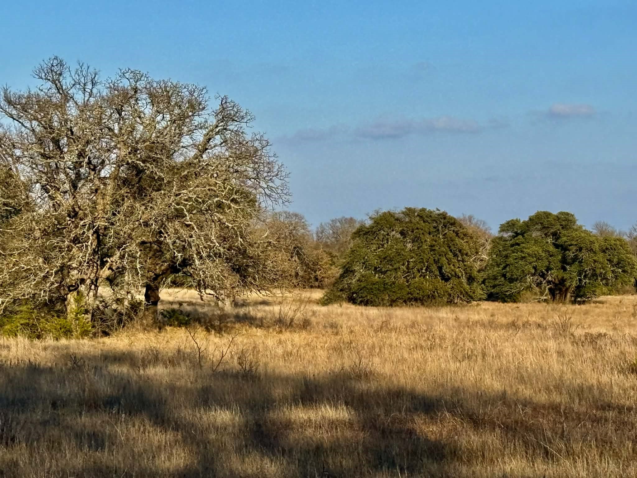 Tbd Cr 2200 Hico TX 76457