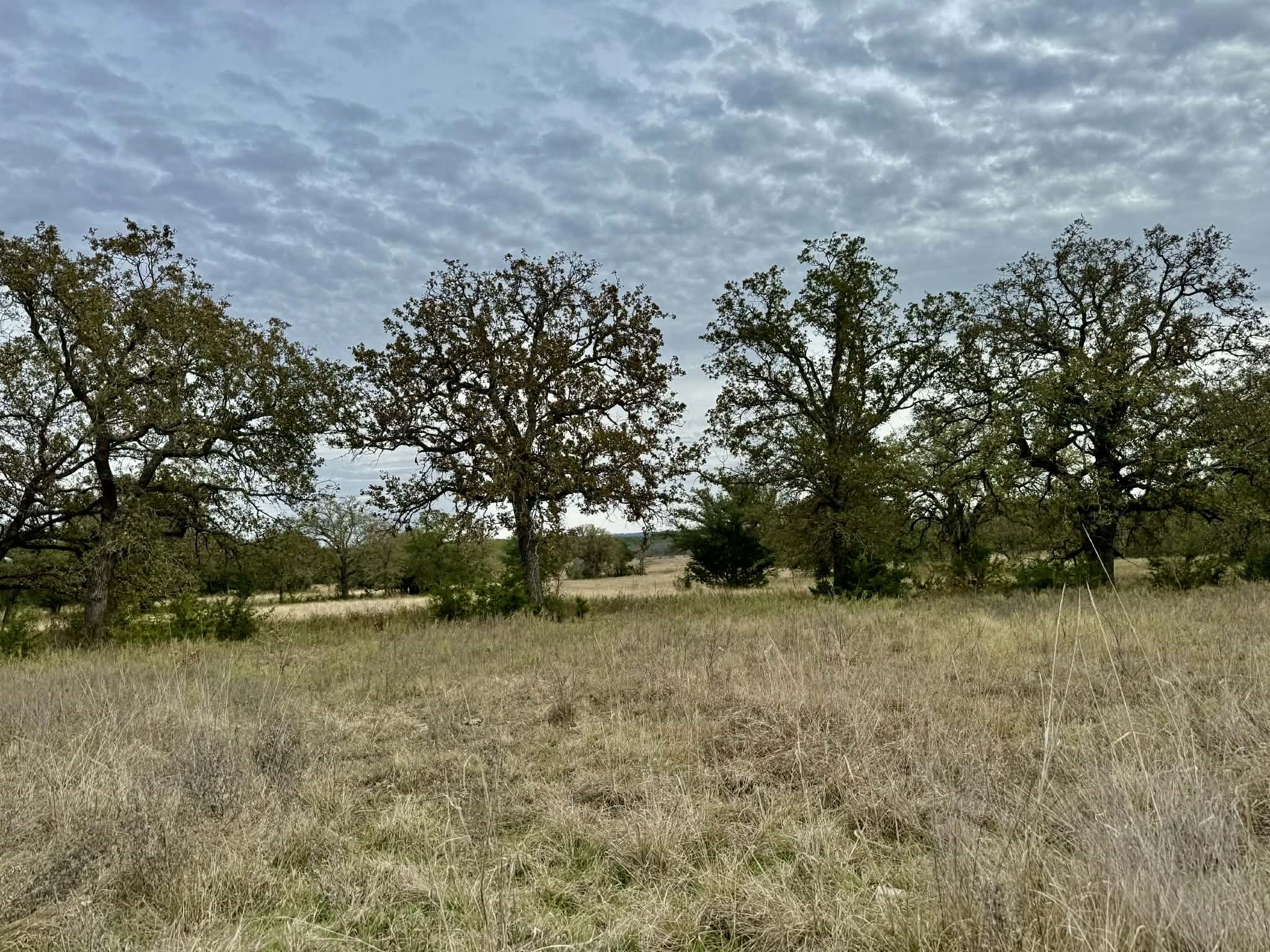 Tbd Cr 2200 Hico TX 76457