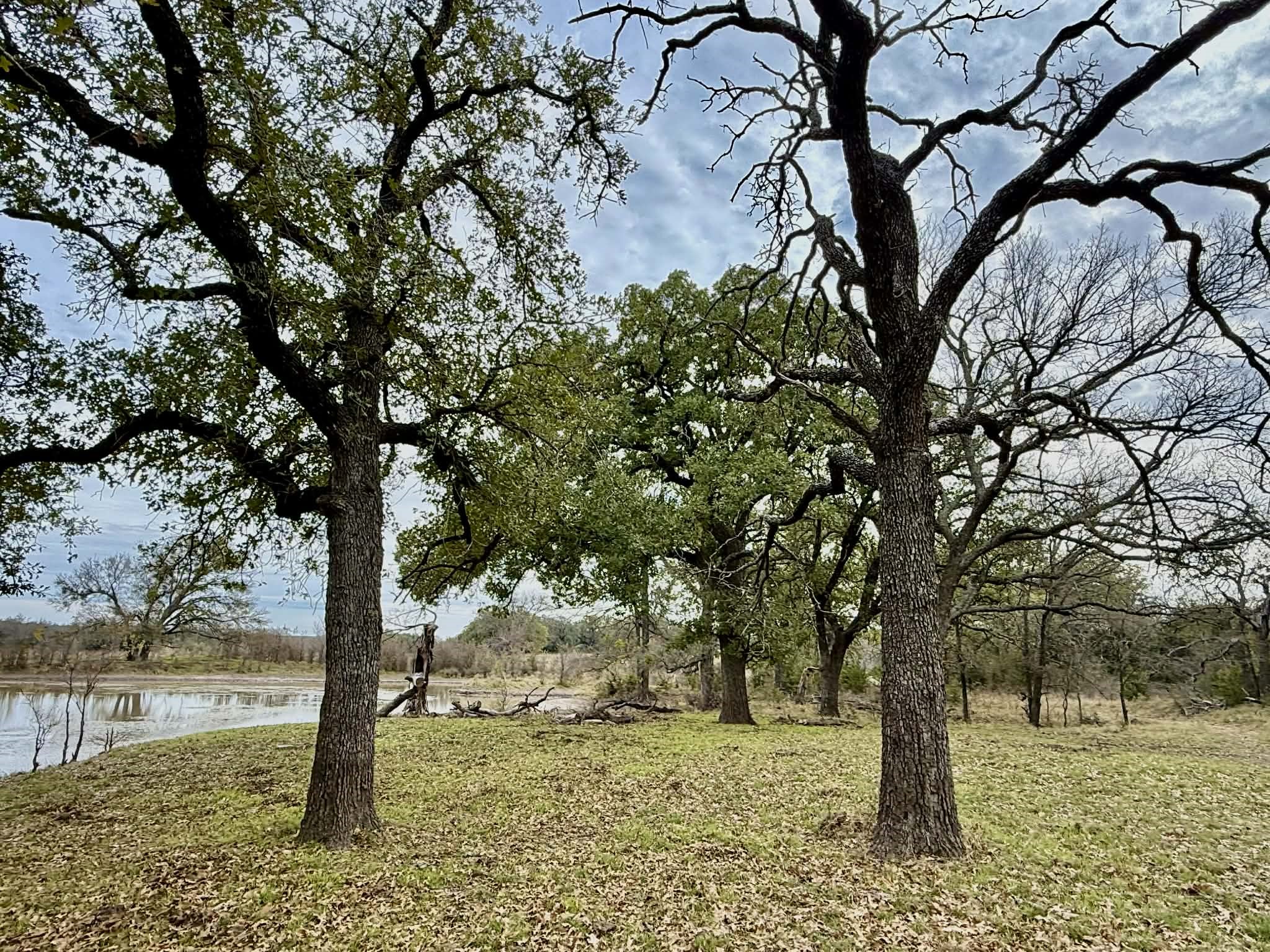 Tbd Cr 2200 Hico TX 76457