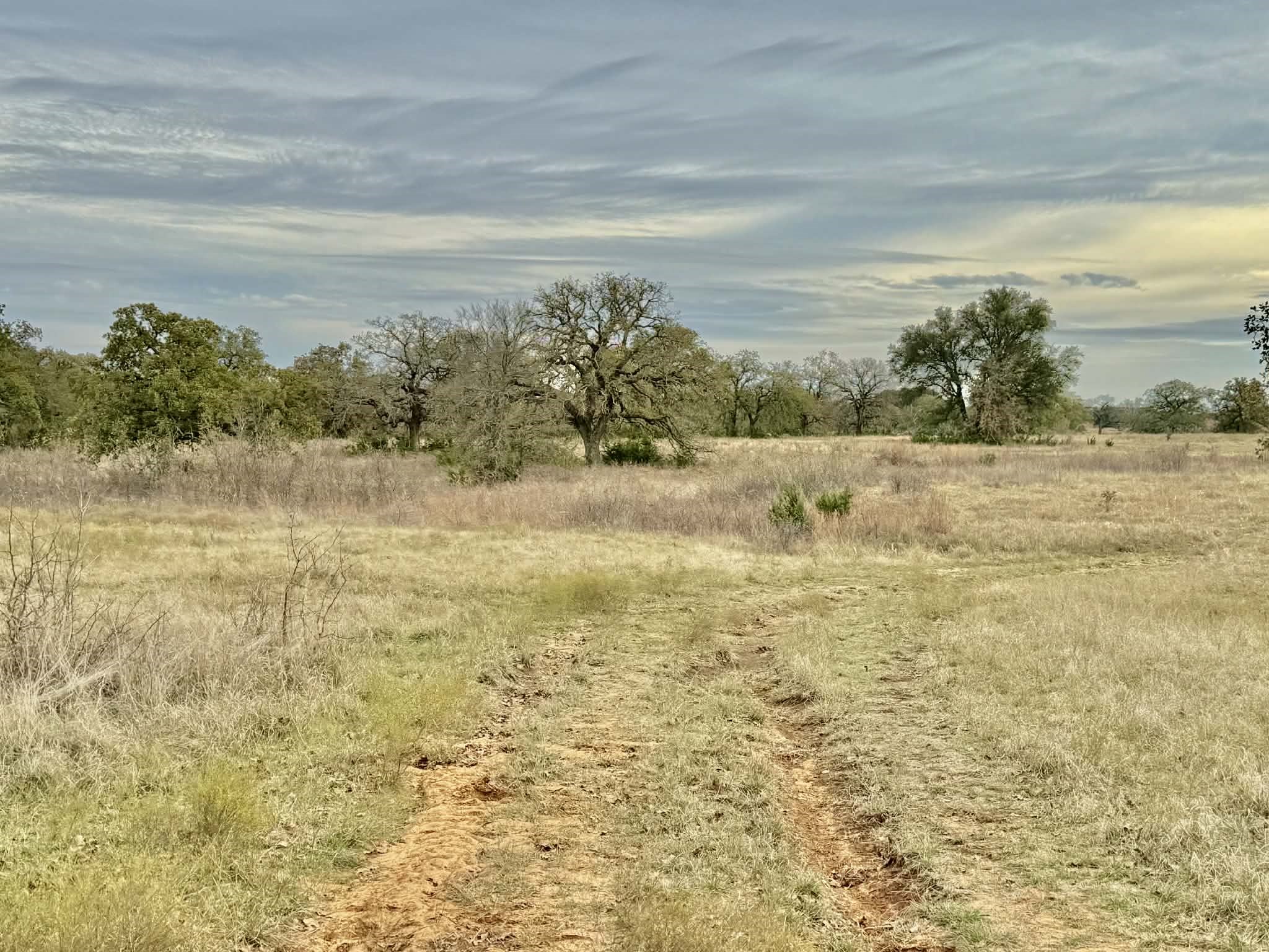 Tbd Cr 2200 Hico TX 76457