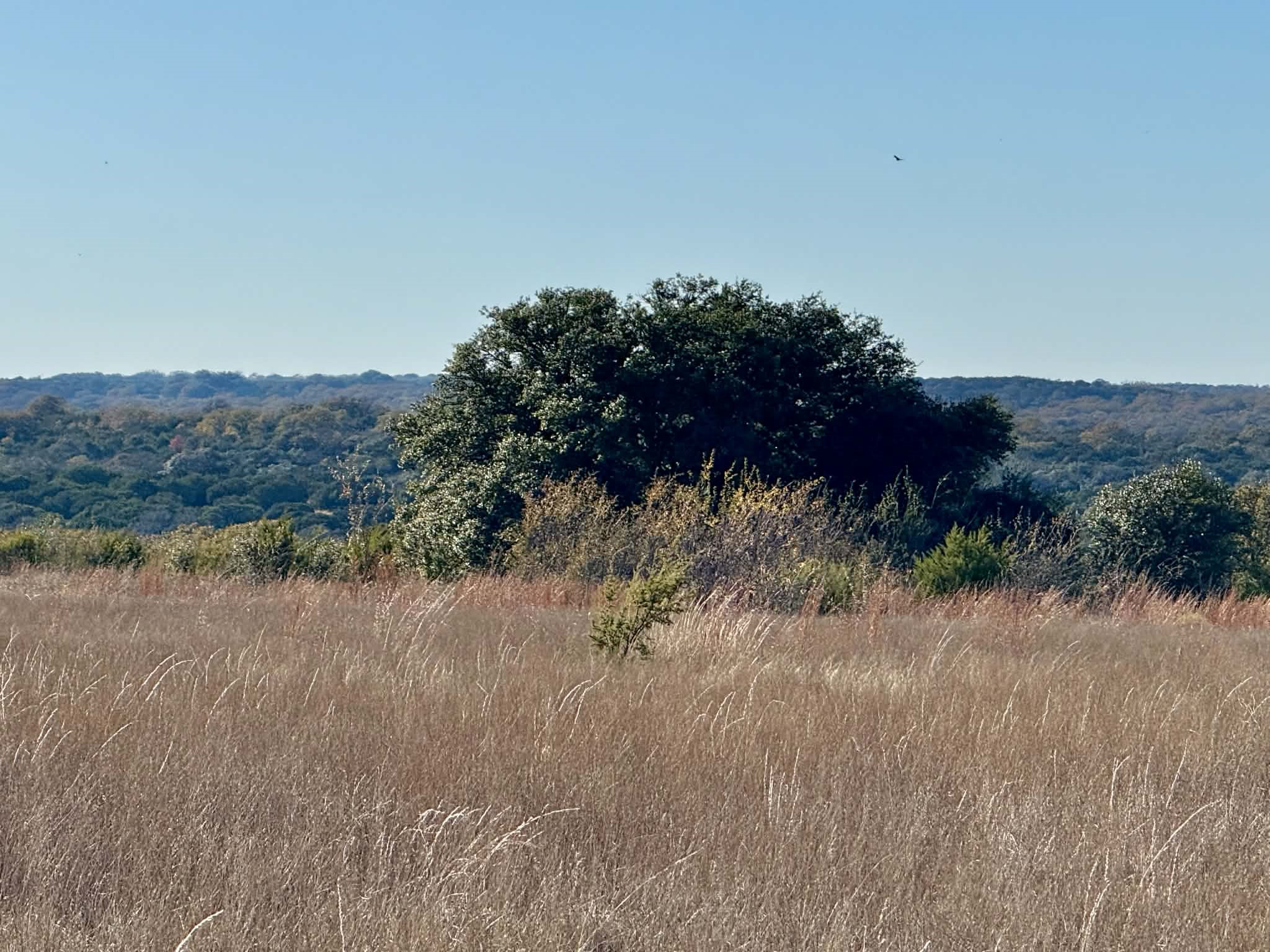 Tbd Cr 2200 Hico TX 76457