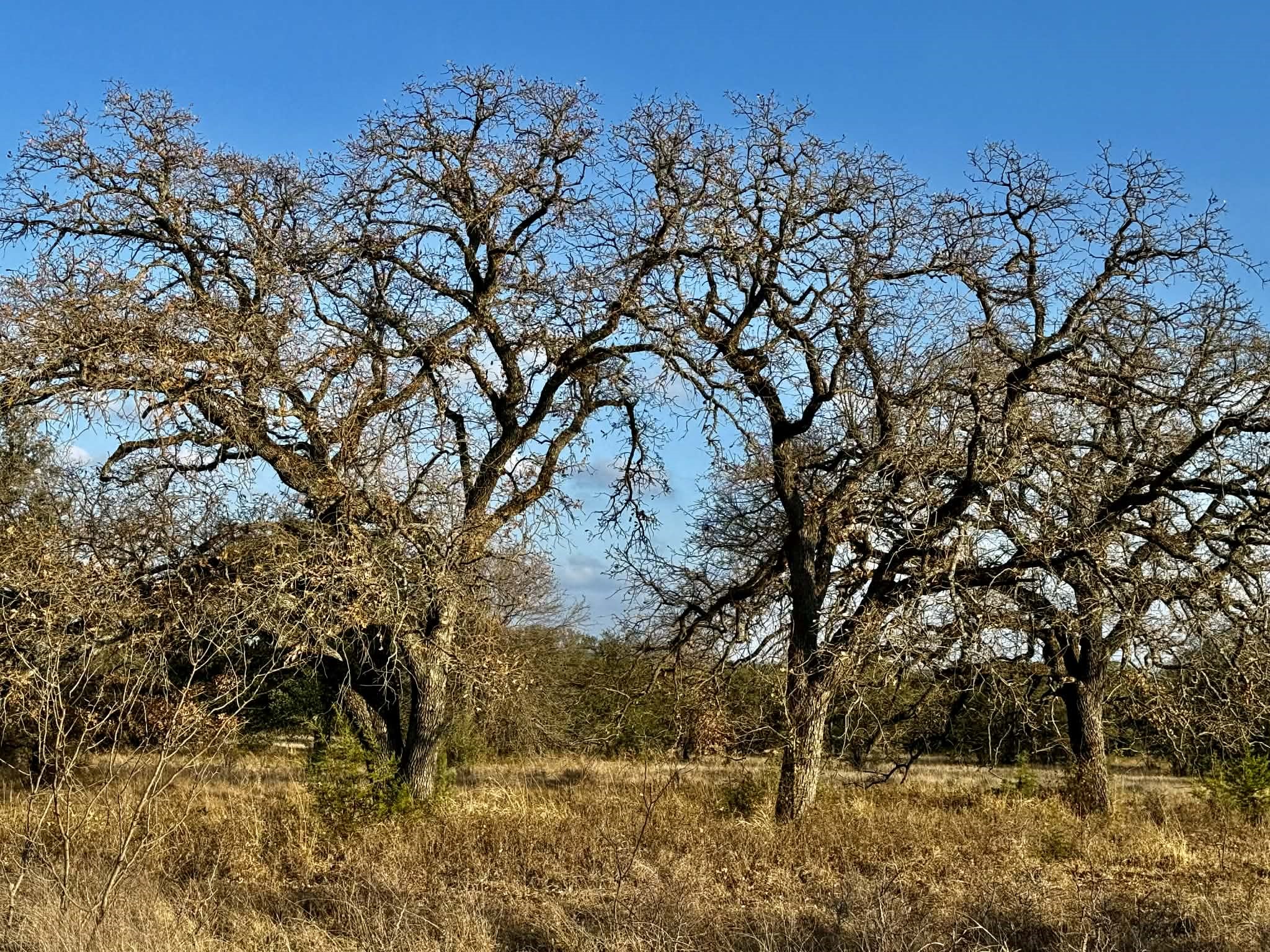 Tbd Cr 2200 Hico TX 76457