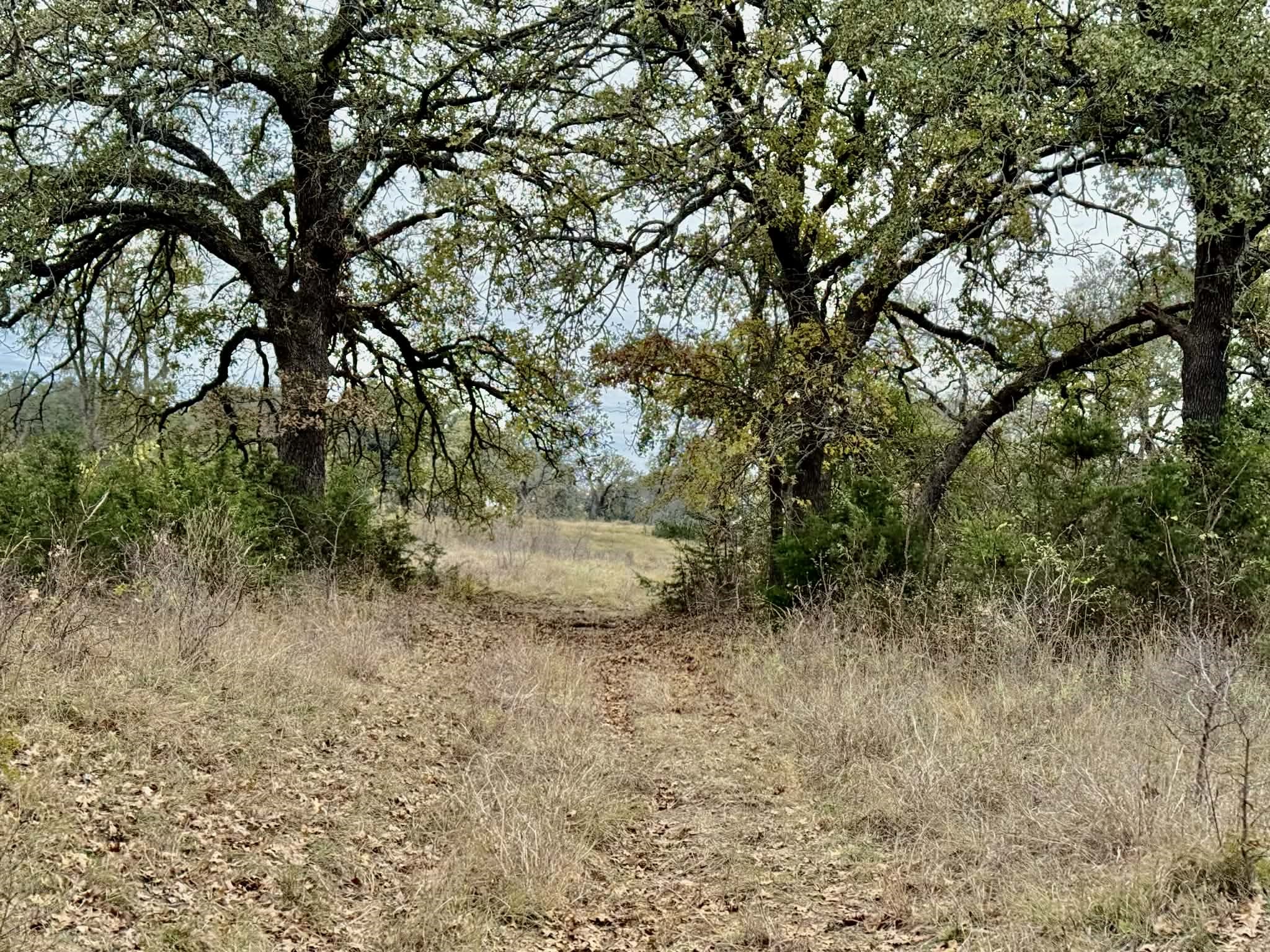 Tbd Cr 2200 Hico TX 76457