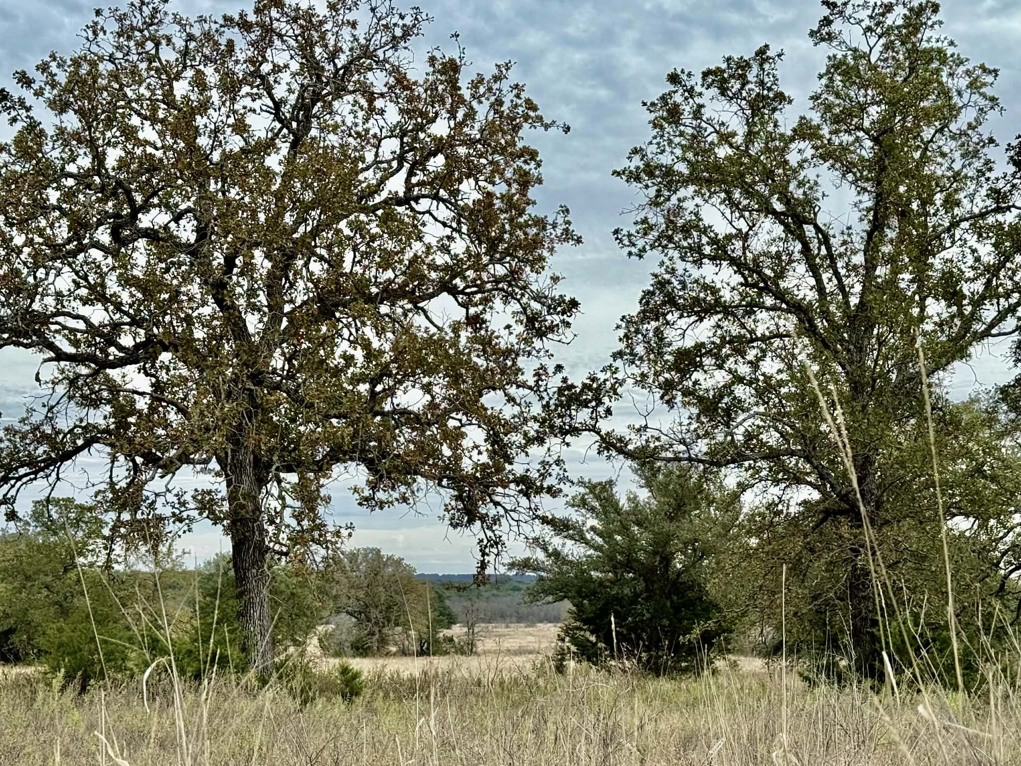 Tbd Cr 2200 Hico TX 76457