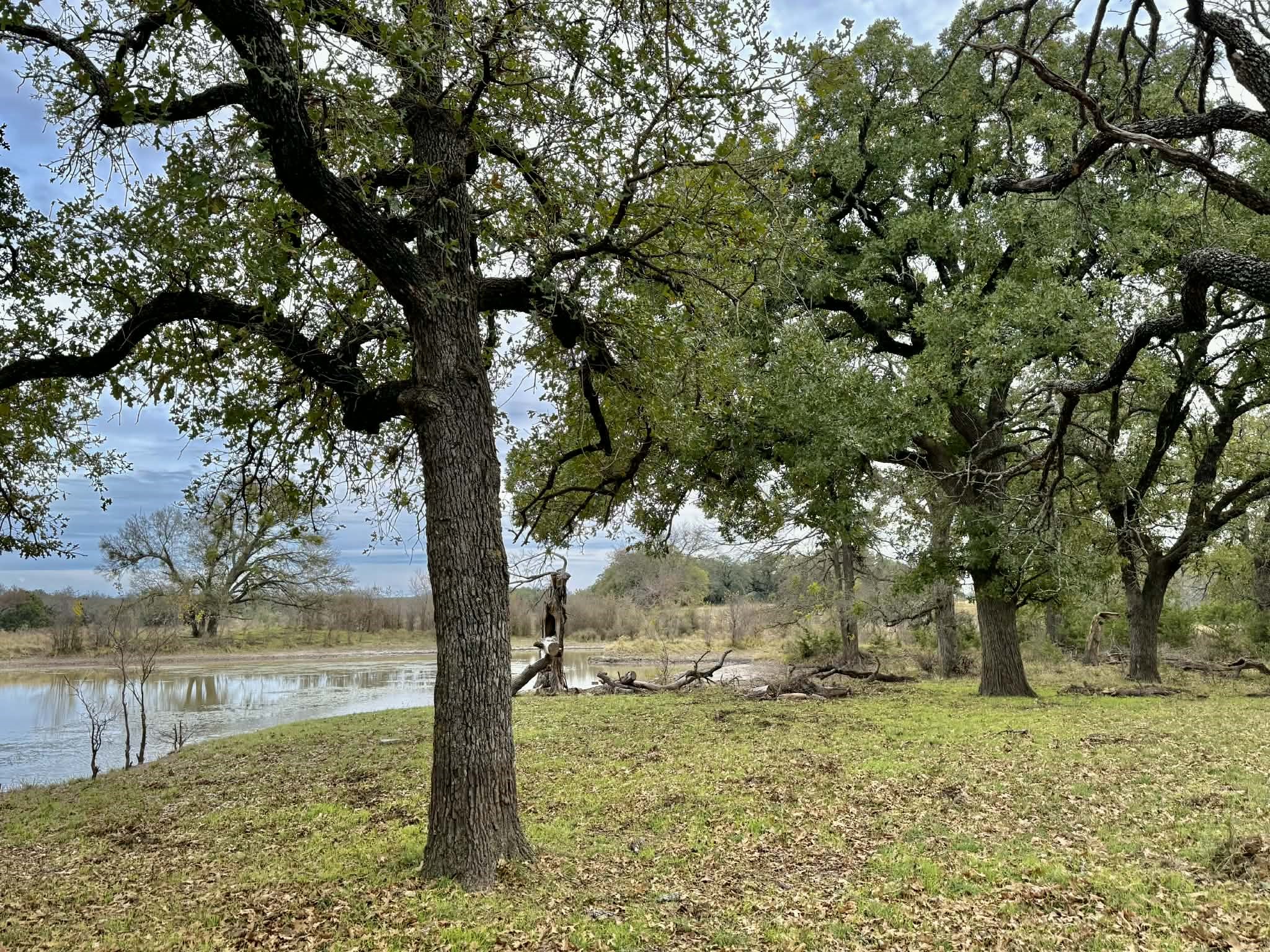 Tbd Cr 2200 Hico TX 76457