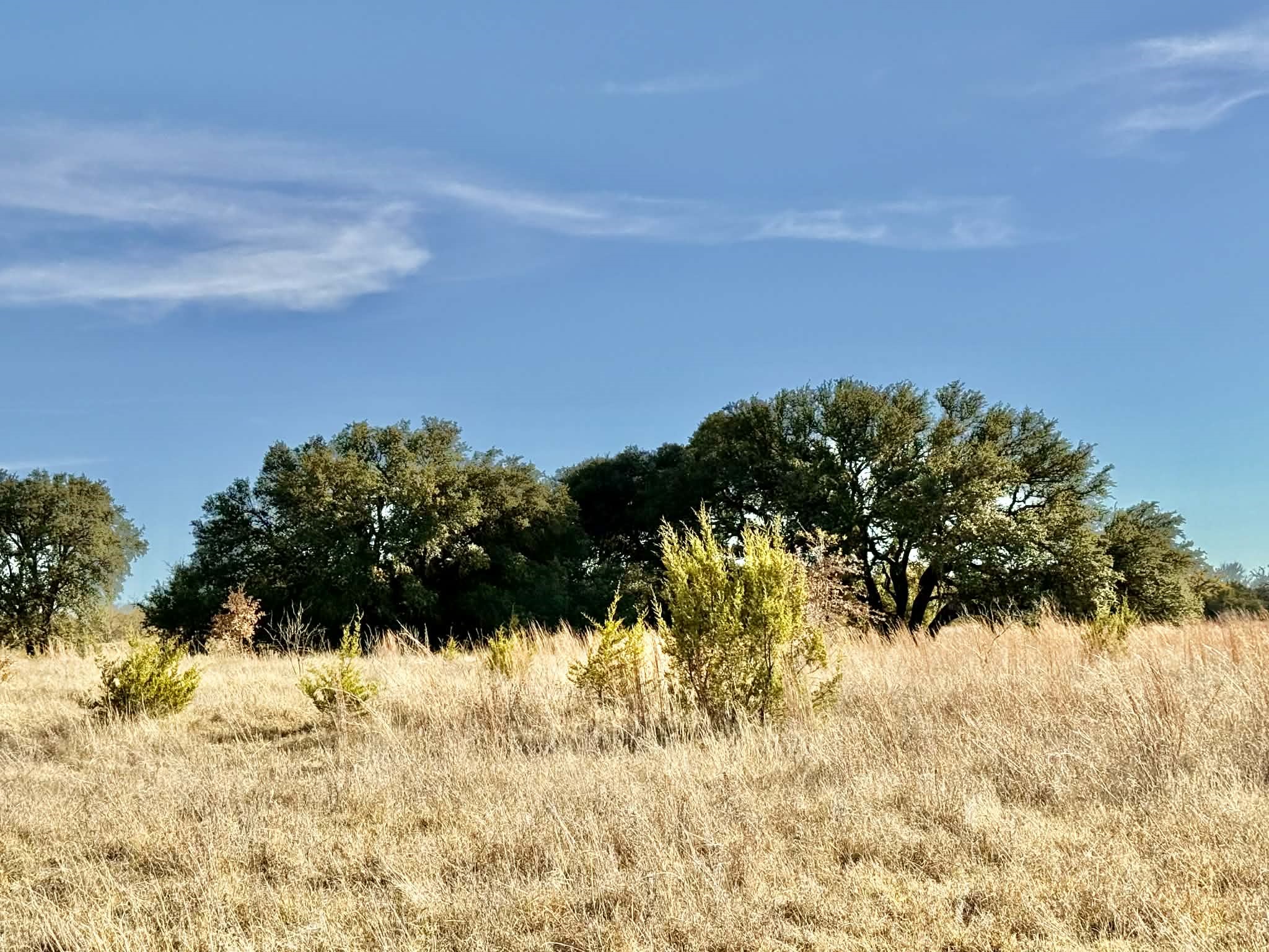 Tbd Cr 2200 Hico TX 76457