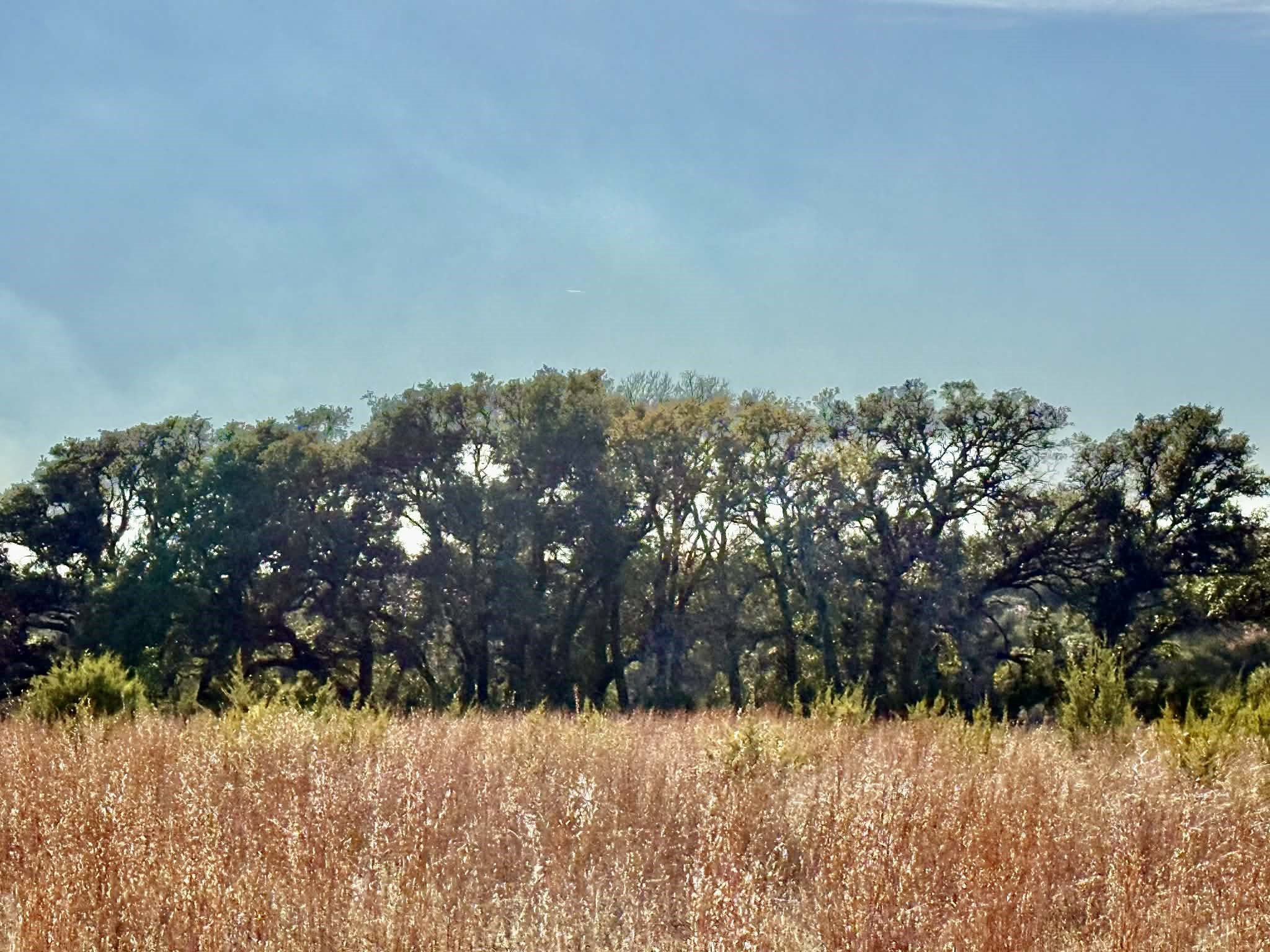 Tbd Cr 2200 Hico TX 76457
