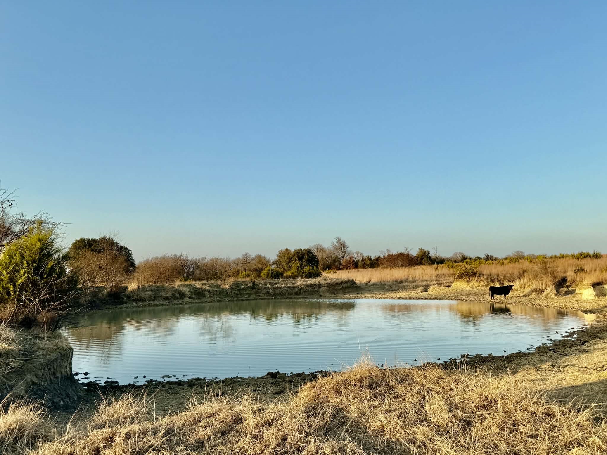 Tbd Cr 2200 Hico TX 76457
