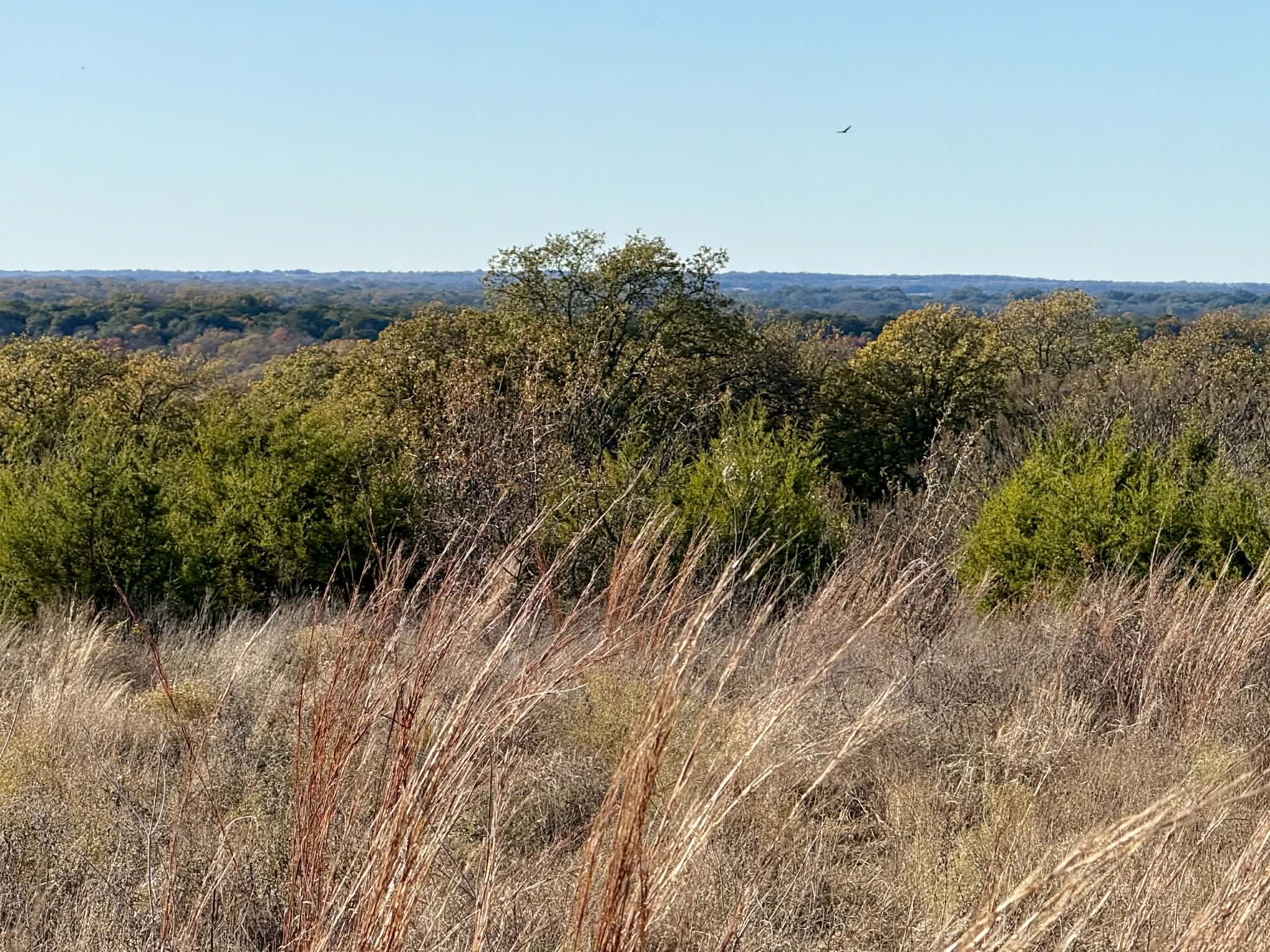 Tbd Cr 2200 Hico TX 76457