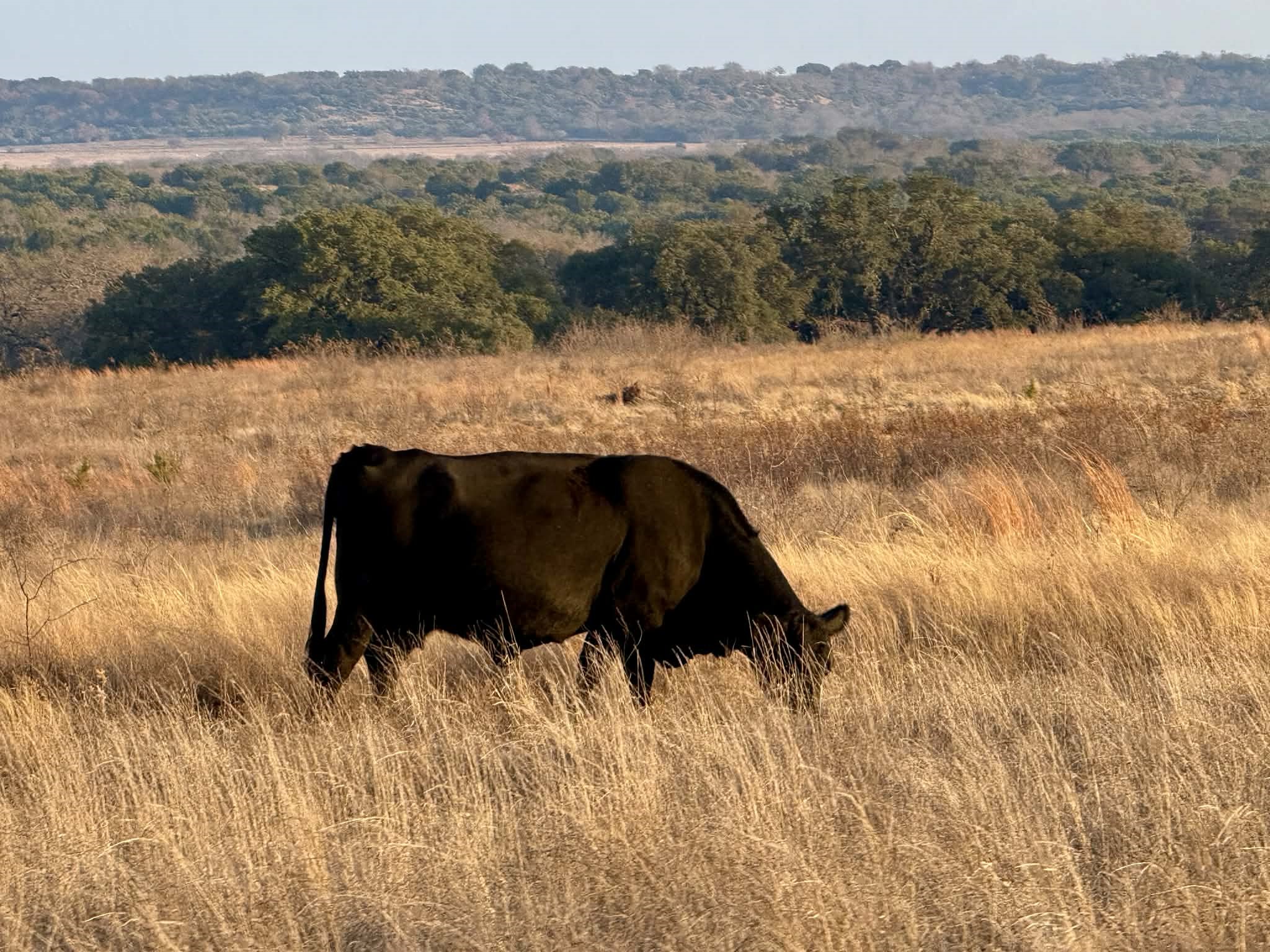 Tbd Cr 2200 Hico TX 76457