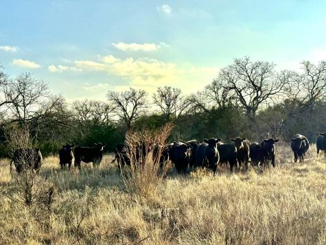 Tbd Cr 2200 Hico TX 76457