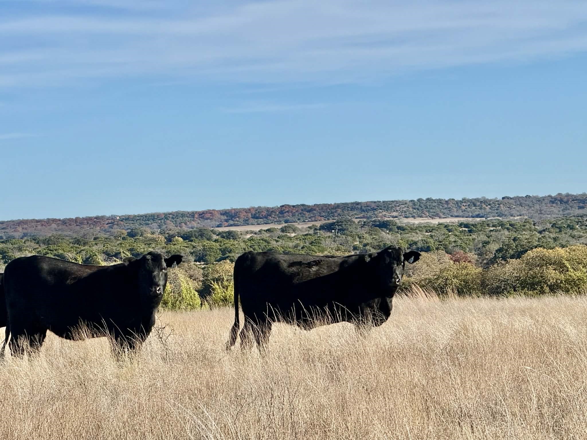 Tbd Cr 2200 Hico TX 76457