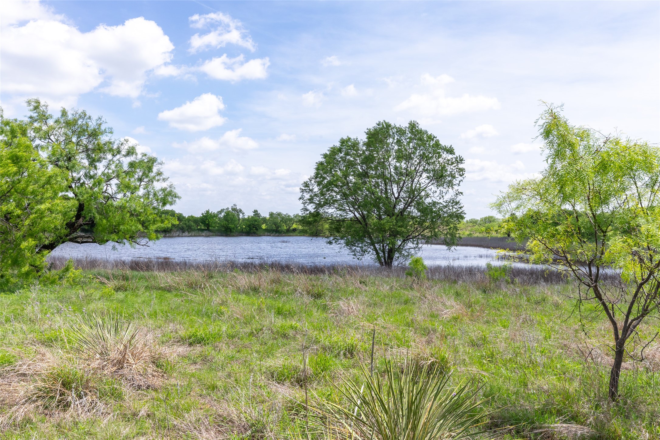 46.5 Ac. Us Highway 84 Lawn TX 79530