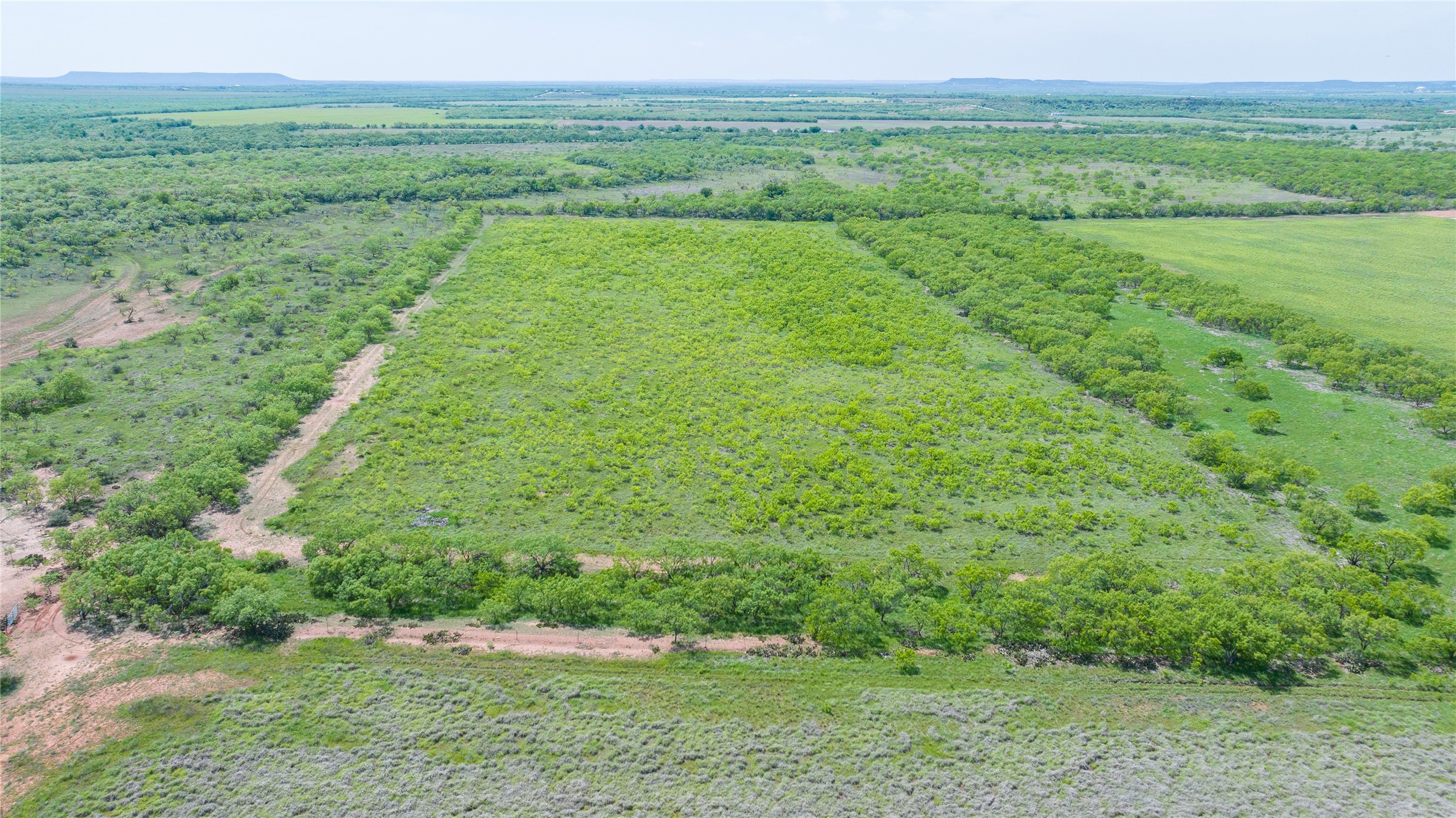 46.5 Ac. Us Highway 84 Lawn TX 79530