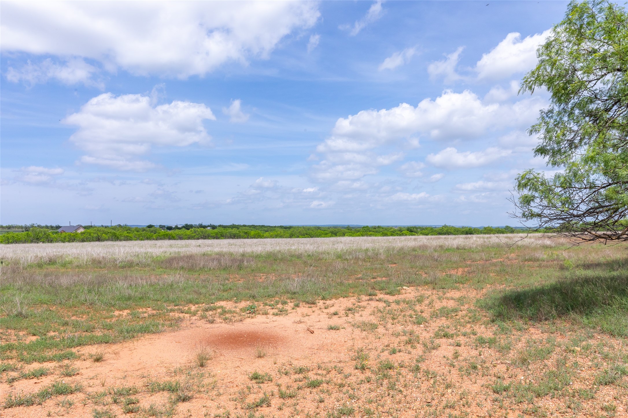 46.5 Ac. Us Highway 84 Lawn TX 79530