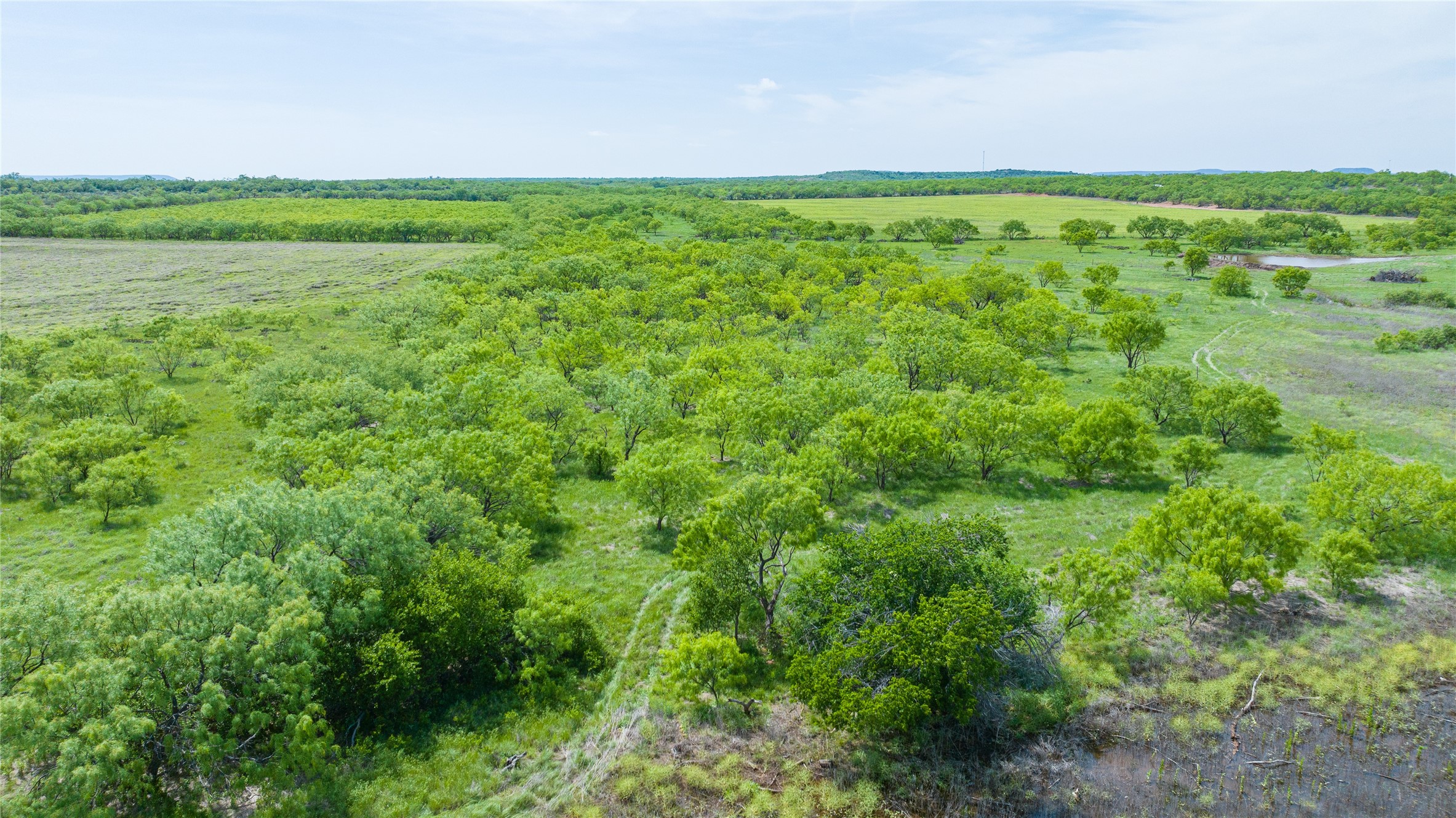 46.5 Ac. Us Highway 84 Lawn TX 79530