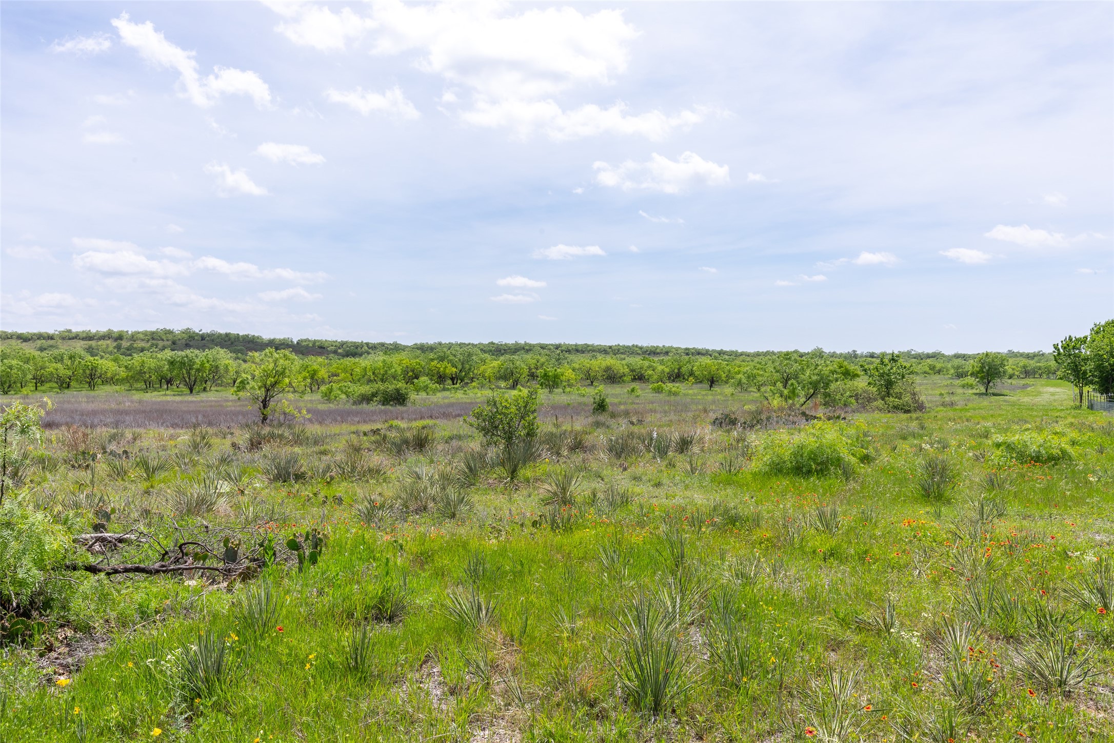 46.5 Ac. Us Highway 84 Lawn TX 79530