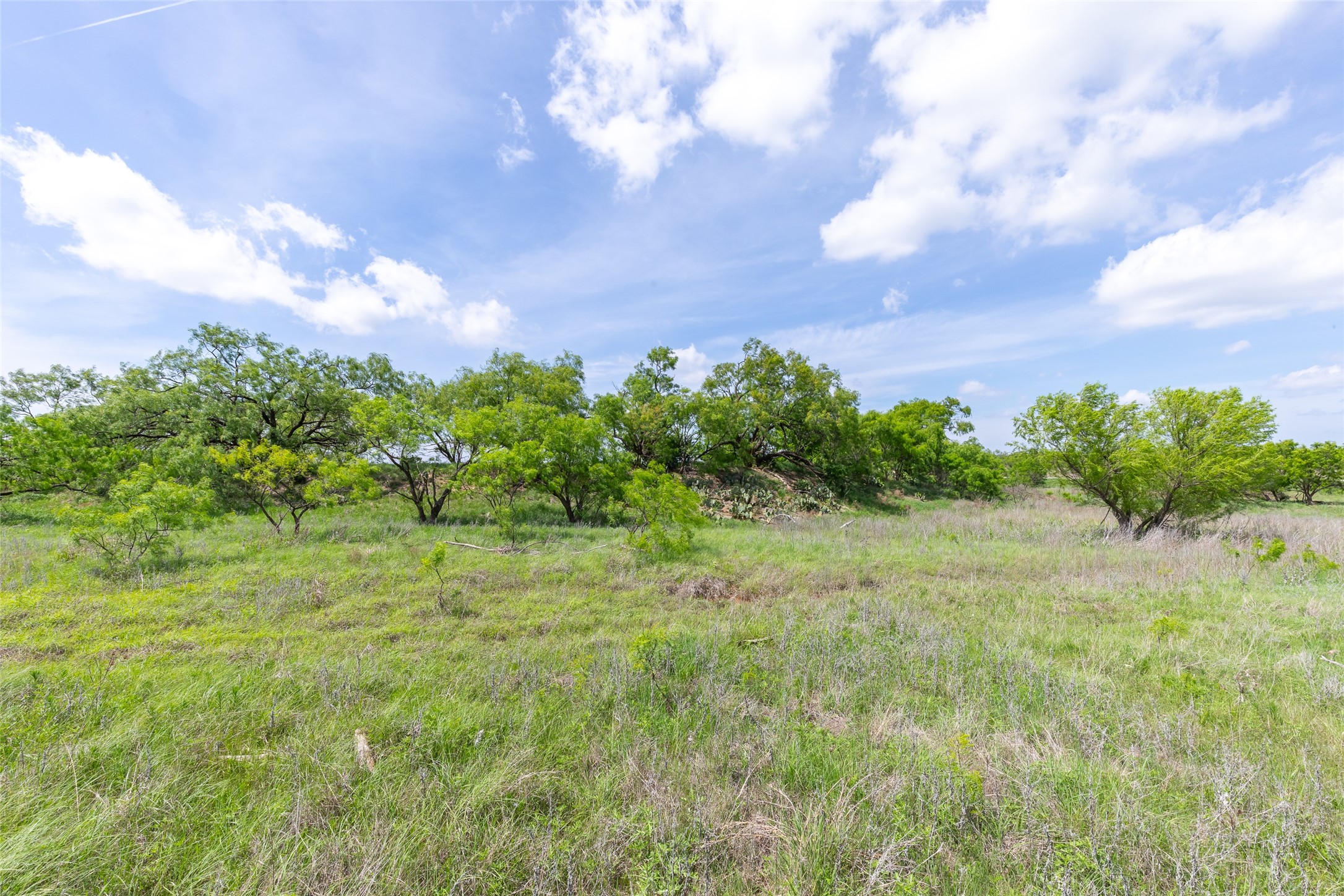 46.5 Ac. Us Highway 84 Lawn TX 79530