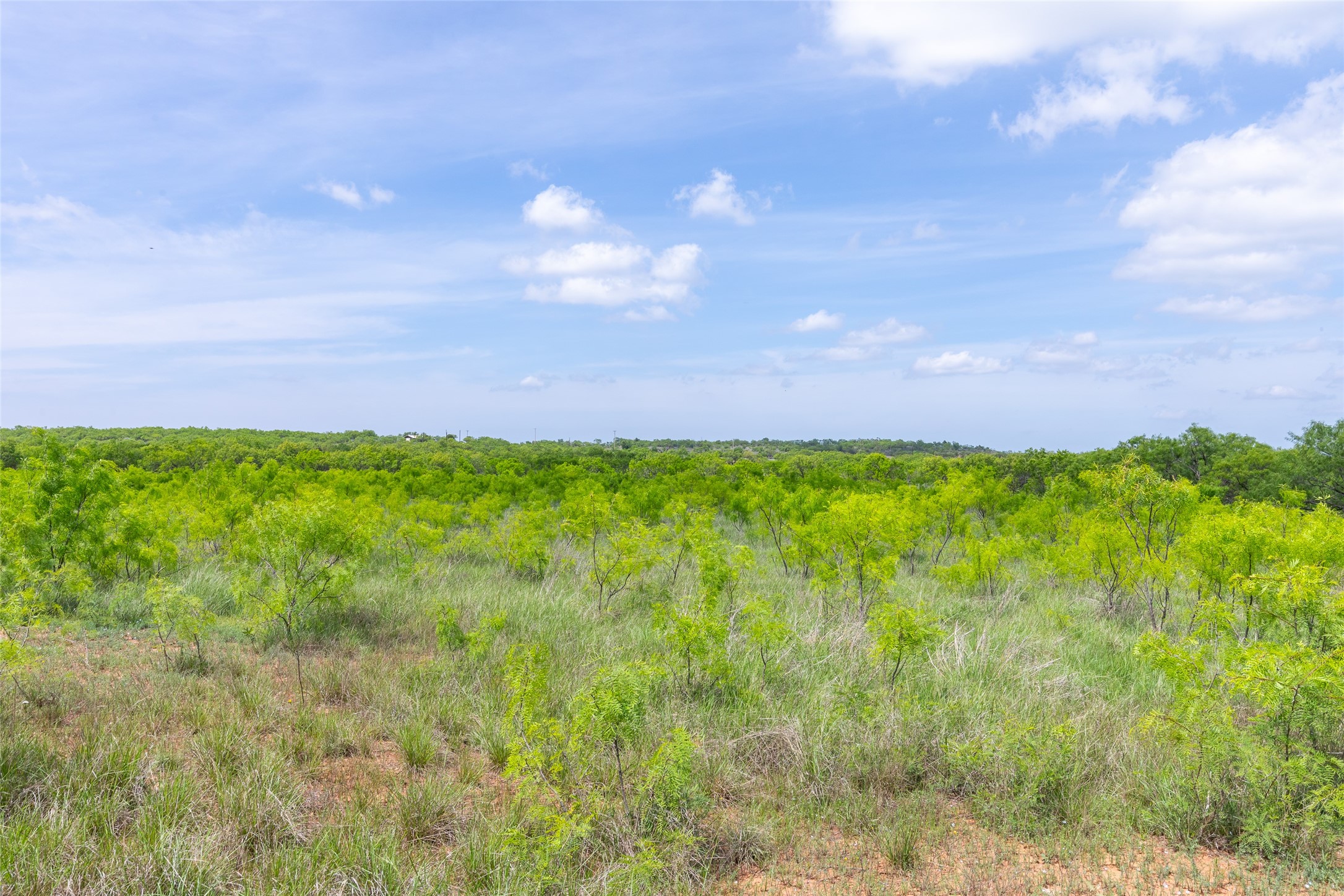 46.5 Ac. Us Highway 84 Lawn TX 79530