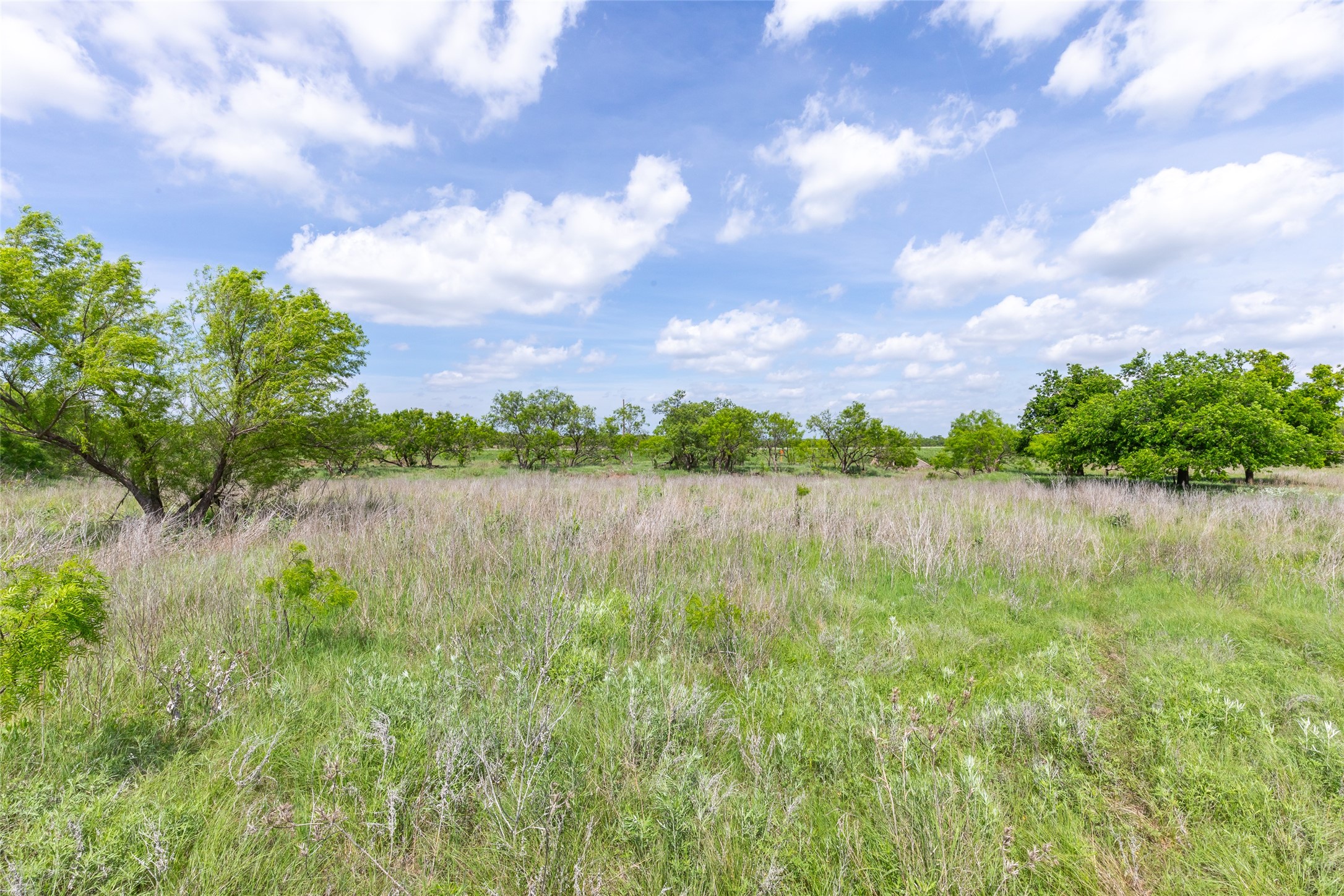 46.5 Ac. Us Highway 84 Lawn TX 79530