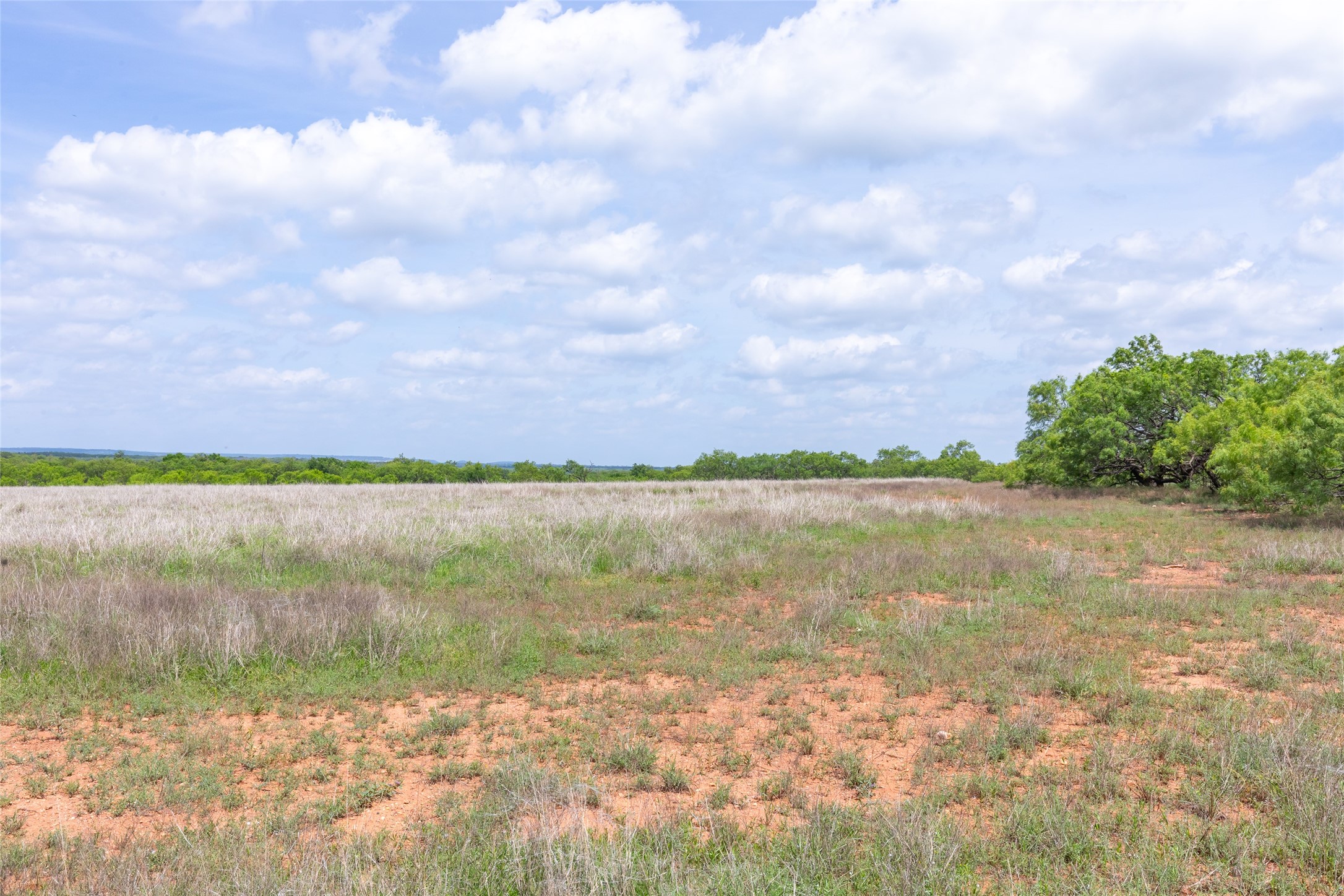 46.5 Ac. Us Highway 84 Lawn TX 79530