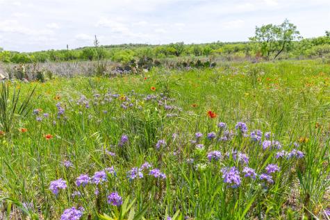 46.5 Ac. Us Highway 84 Lawn TX 79530
