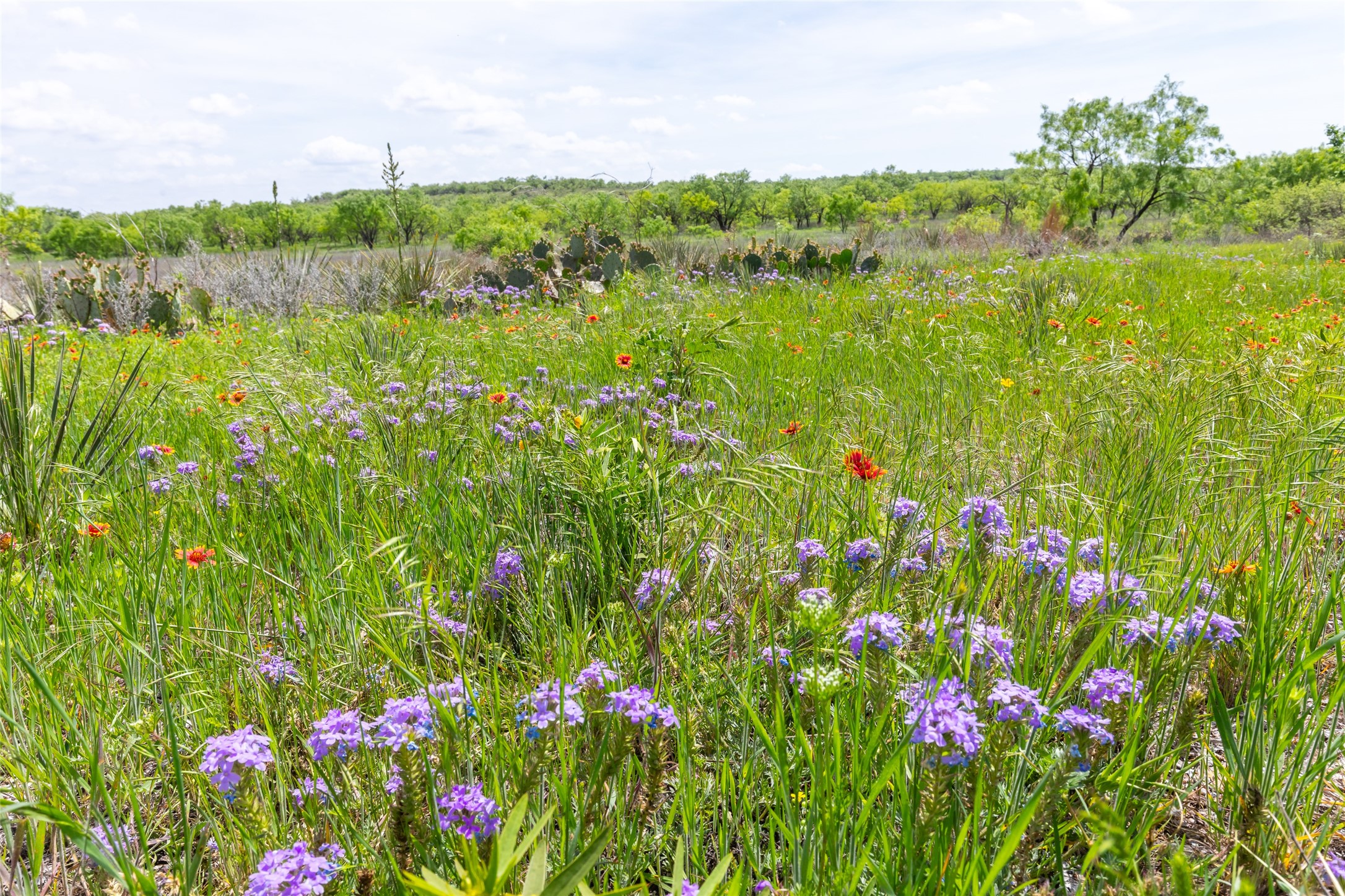 46.5 Ac. Us Highway 84 Lawn TX 79530