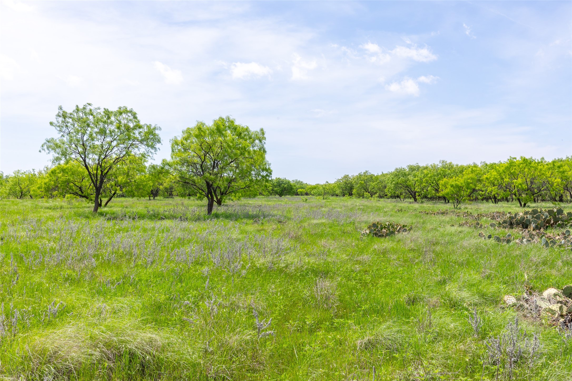 46.5 Ac. Us Highway 84 Lawn TX 79530