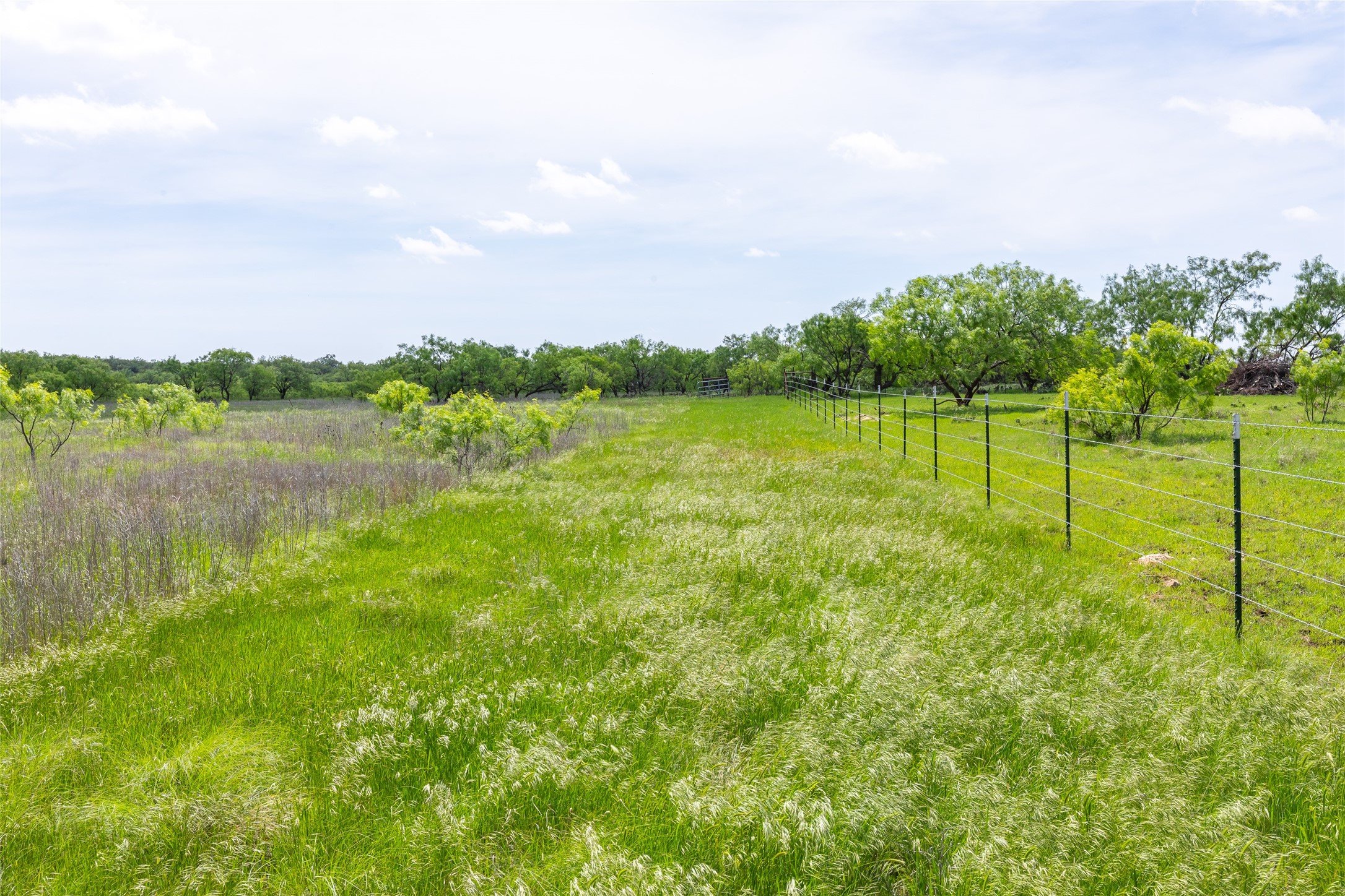 46.5 Ac. Us Highway 84 Lawn TX 79530