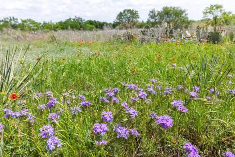 46.5 Ac. Us Highway 84 Lawn TX 79530