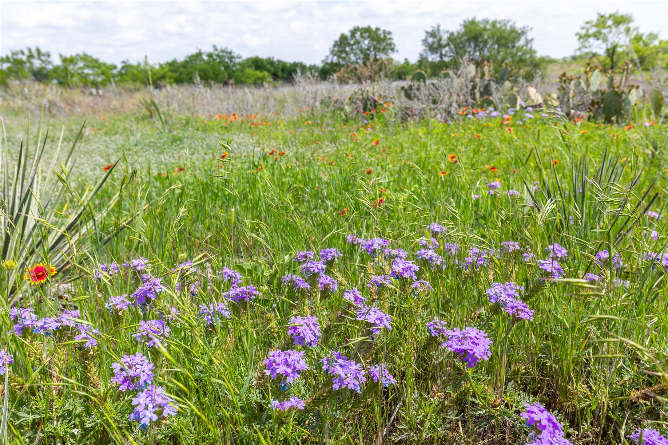46.5 Ac. Us Highway 84 Lawn TX 79530