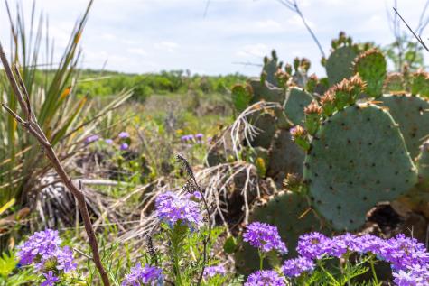 46.5 Ac. Us Highway 84 Lawn TX 79530