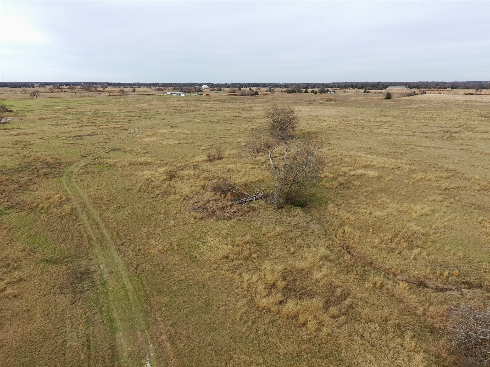 1562 County Road 4766 Road Sulphur Springs TX 75482