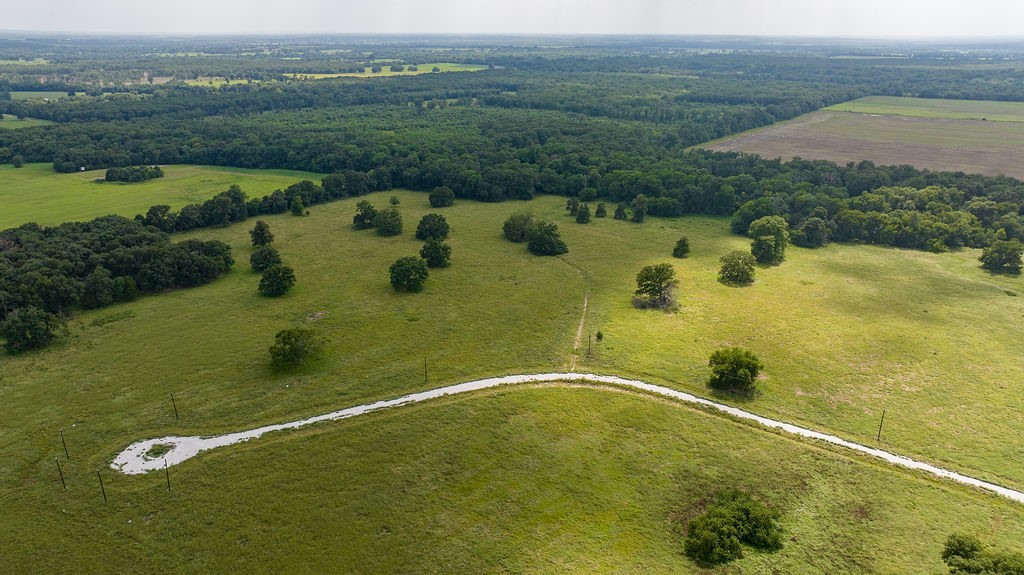 298 Quail Hollow Trail Paris TX 75462