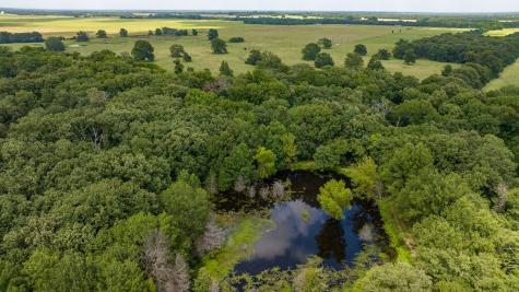 298 Quail Hollow Trail Paris TX 75462