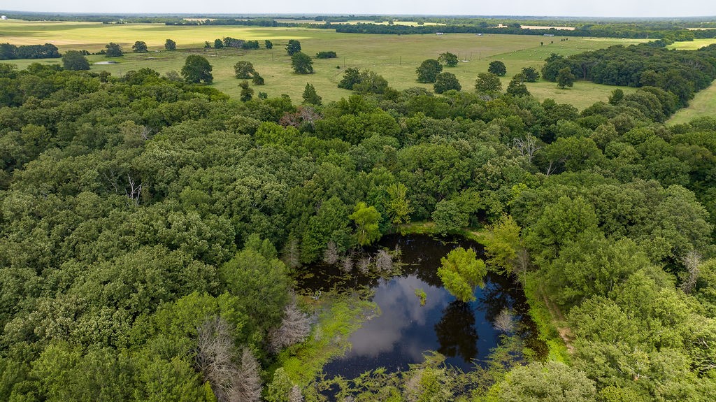 298 Quail Hollow Trail Paris TX 75462