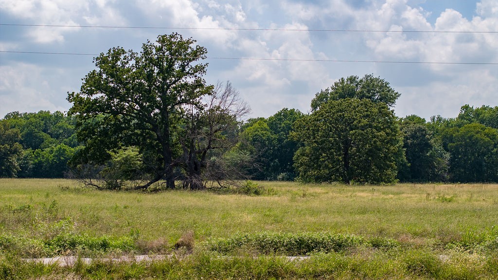298 Quail Hollow Trail Paris TX 75462