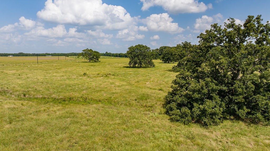 298 Quail Hollow Trail Paris TX 75462