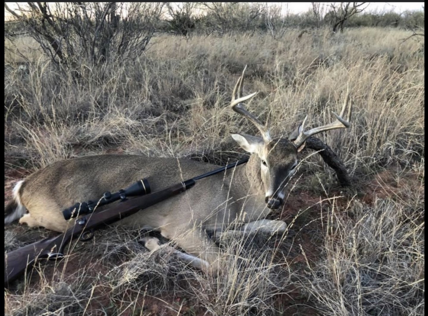 300 County Road 232 Rotan TX 79546