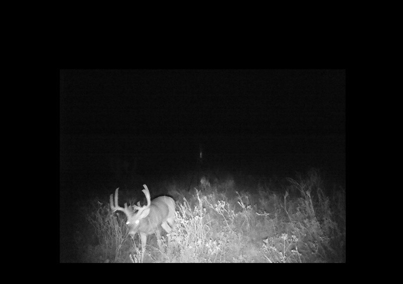 300 County Road 232 Rotan TX 79546