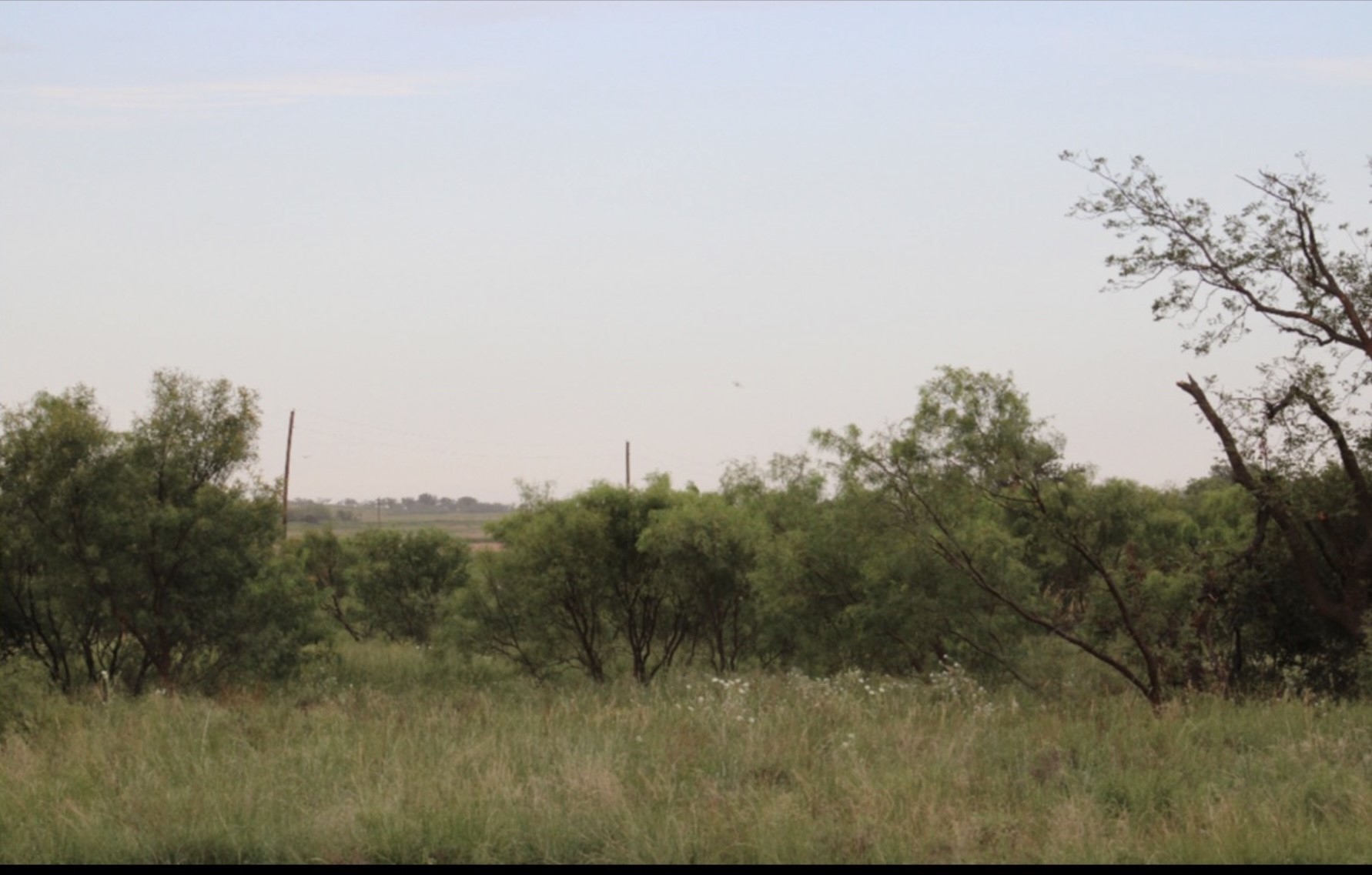 300 County Road 232 Rotan TX 79546