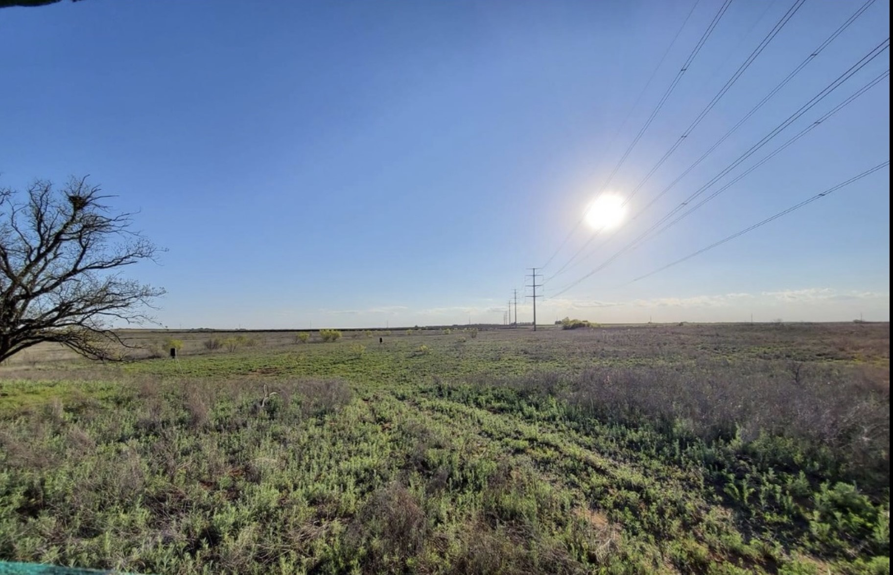 300 County Road 232 Rotan TX 79546