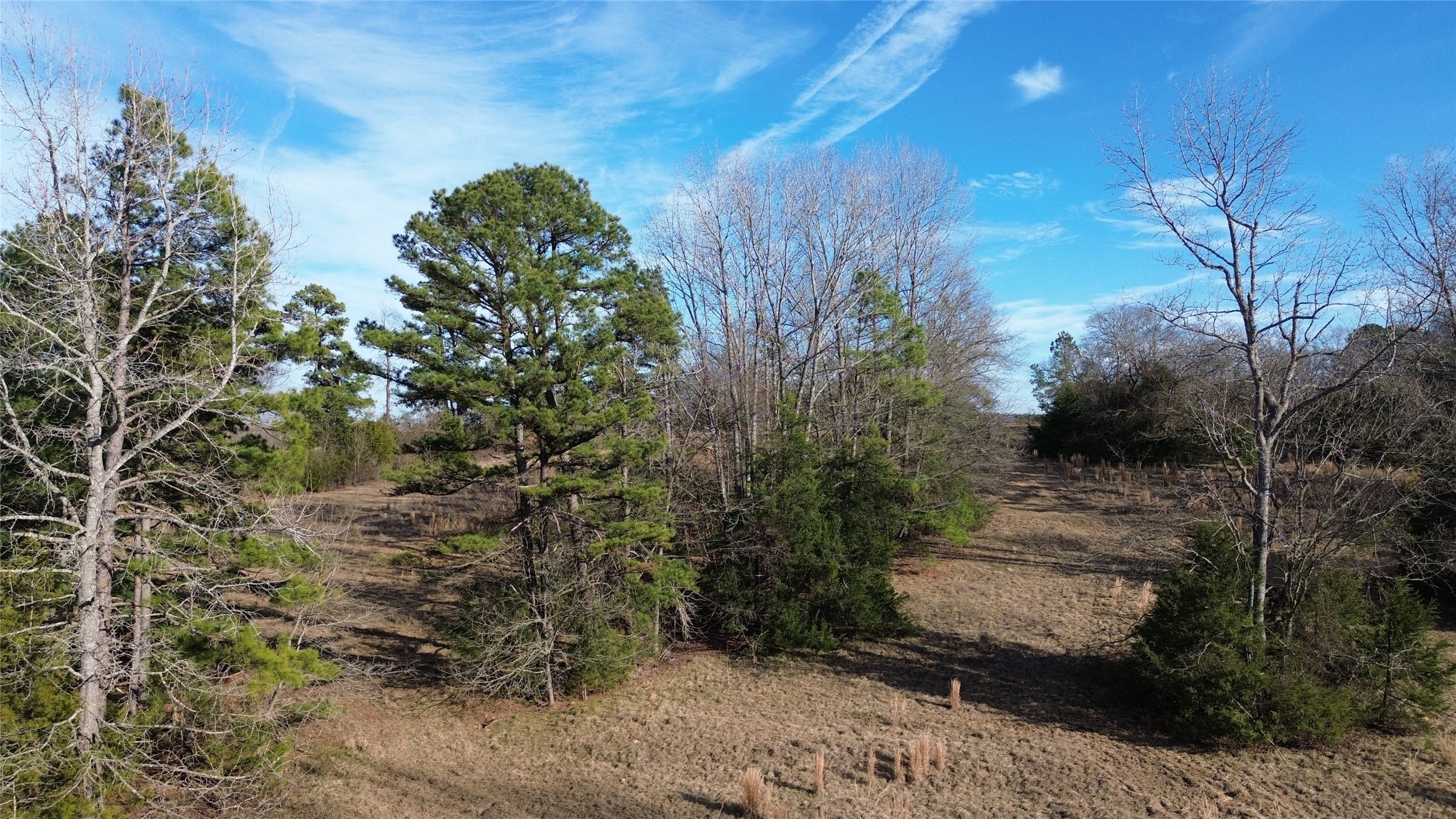 562 County Road 4430 Winnsboro TX 75494