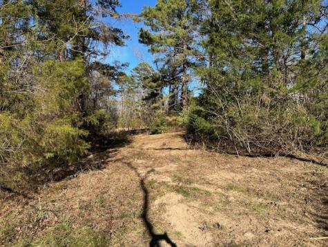 562 County Road 4430 Winnsboro TX 75494