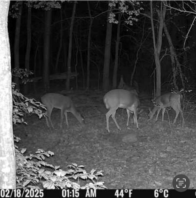 562 County Road 4430 Winnsboro TX 75494