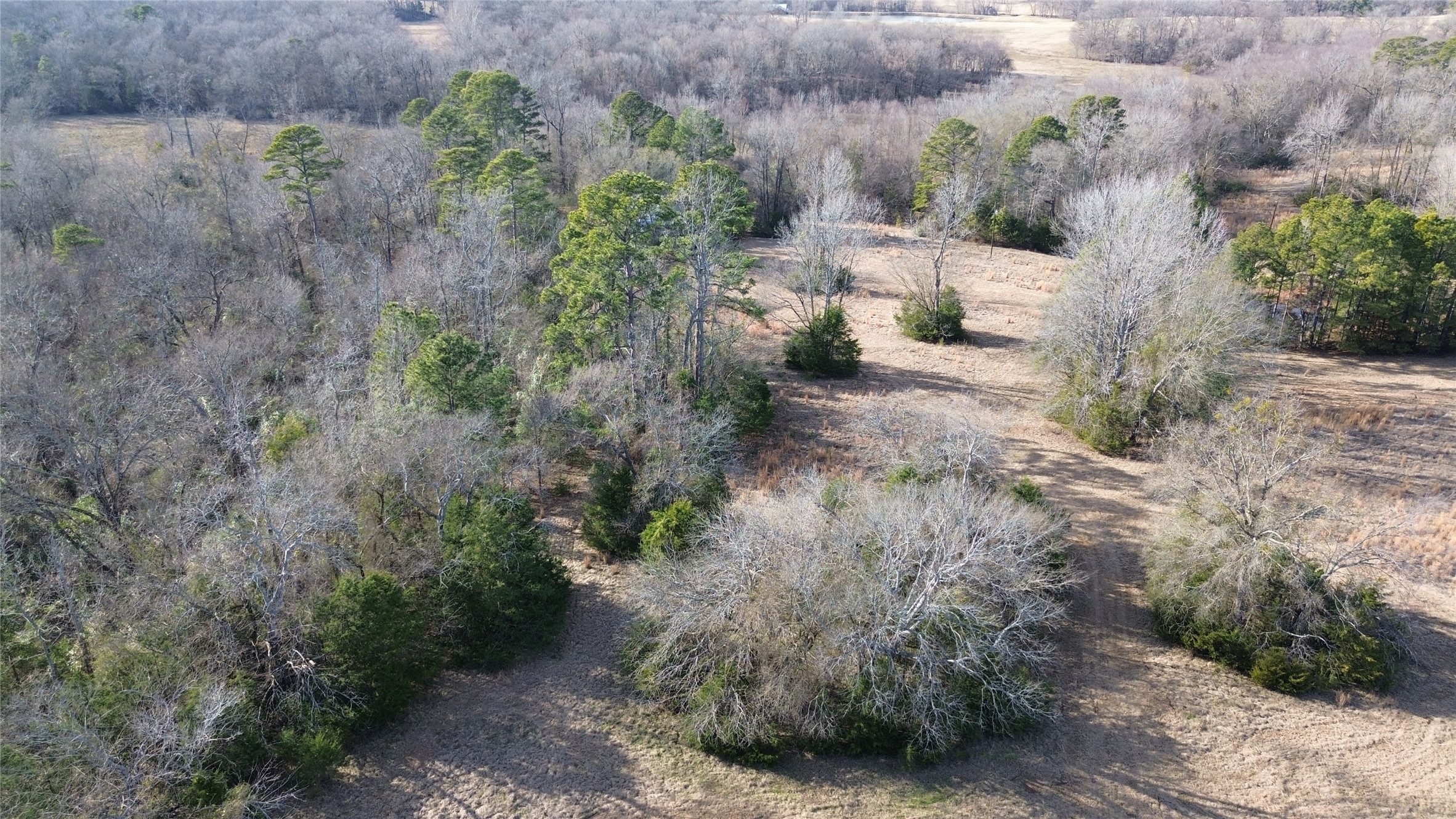 562 County Road 4430 Winnsboro TX 75494
